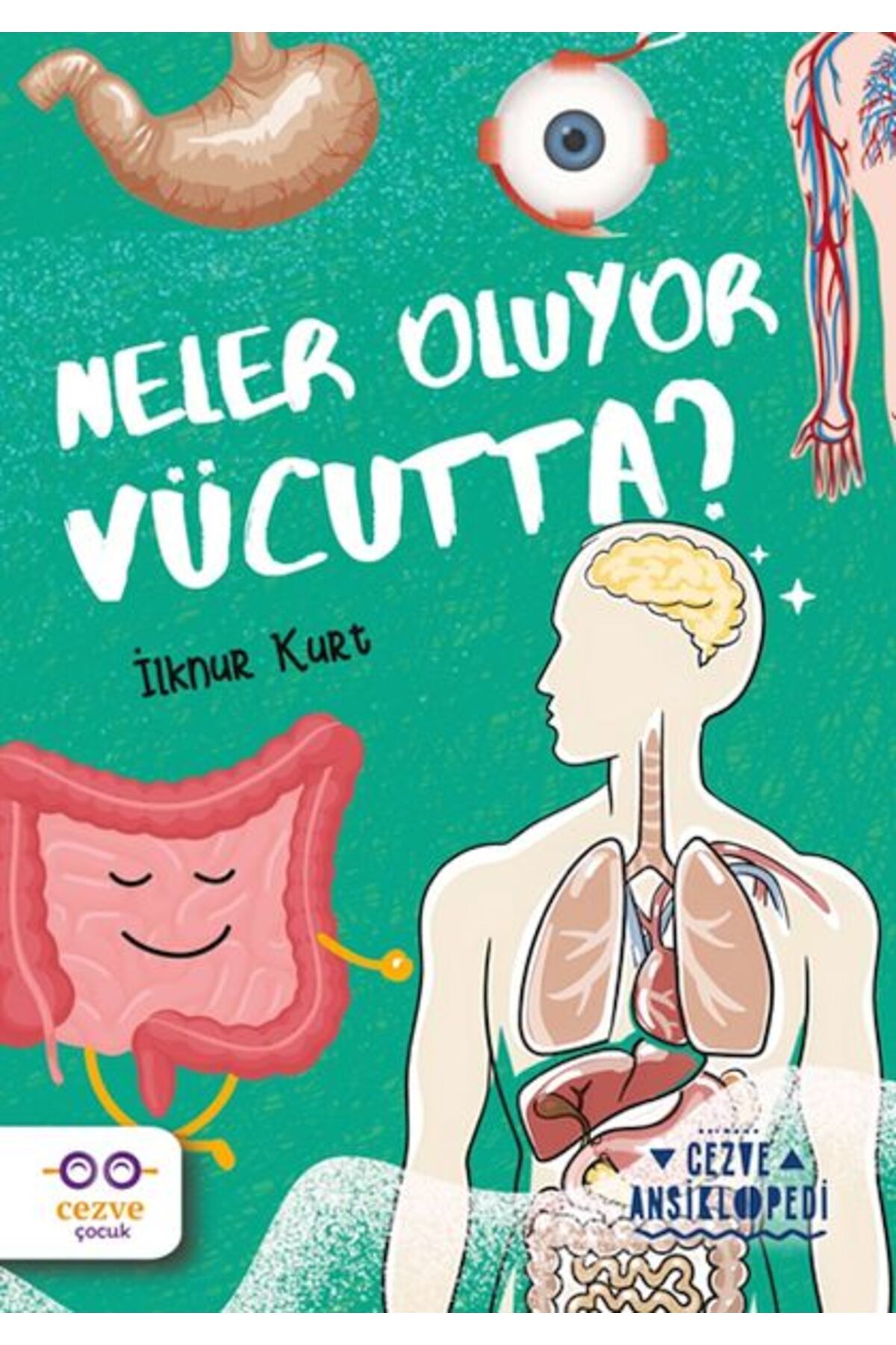 Cezve Kitap Neler Oluyor Vücutta ? – Cezve Ansiklopedi