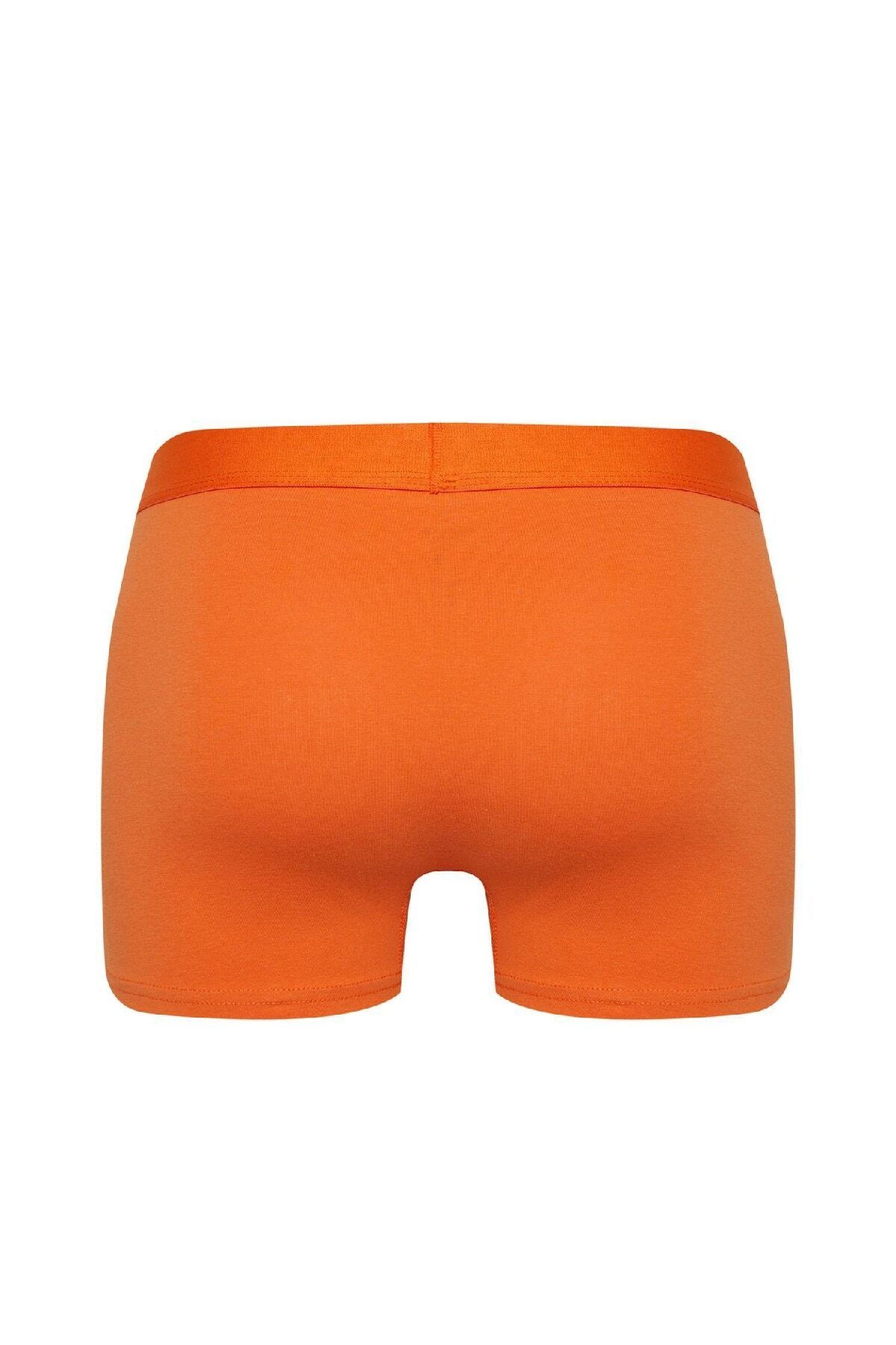 DeFacto-Regular Fit 3-Piece Boxer B7953ax24sp 3