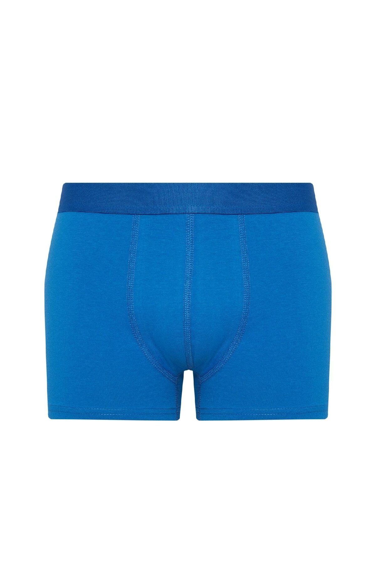DeFacto-Regular Fit 3-Piece Boxer B7953ax24sp 4