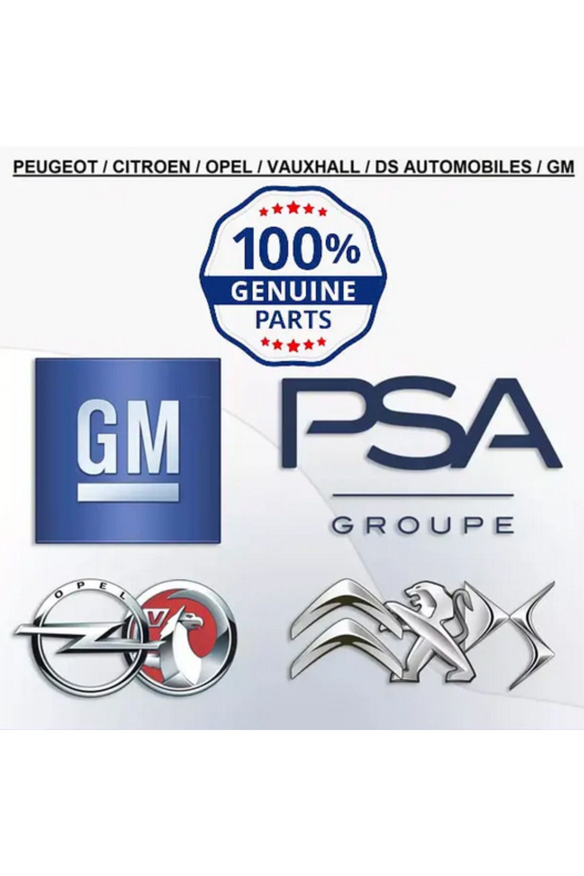 PSA PEUGEOT 2008 208 301 308 508 5008 RİFTER SEGMAN TAKIMI 1629032280