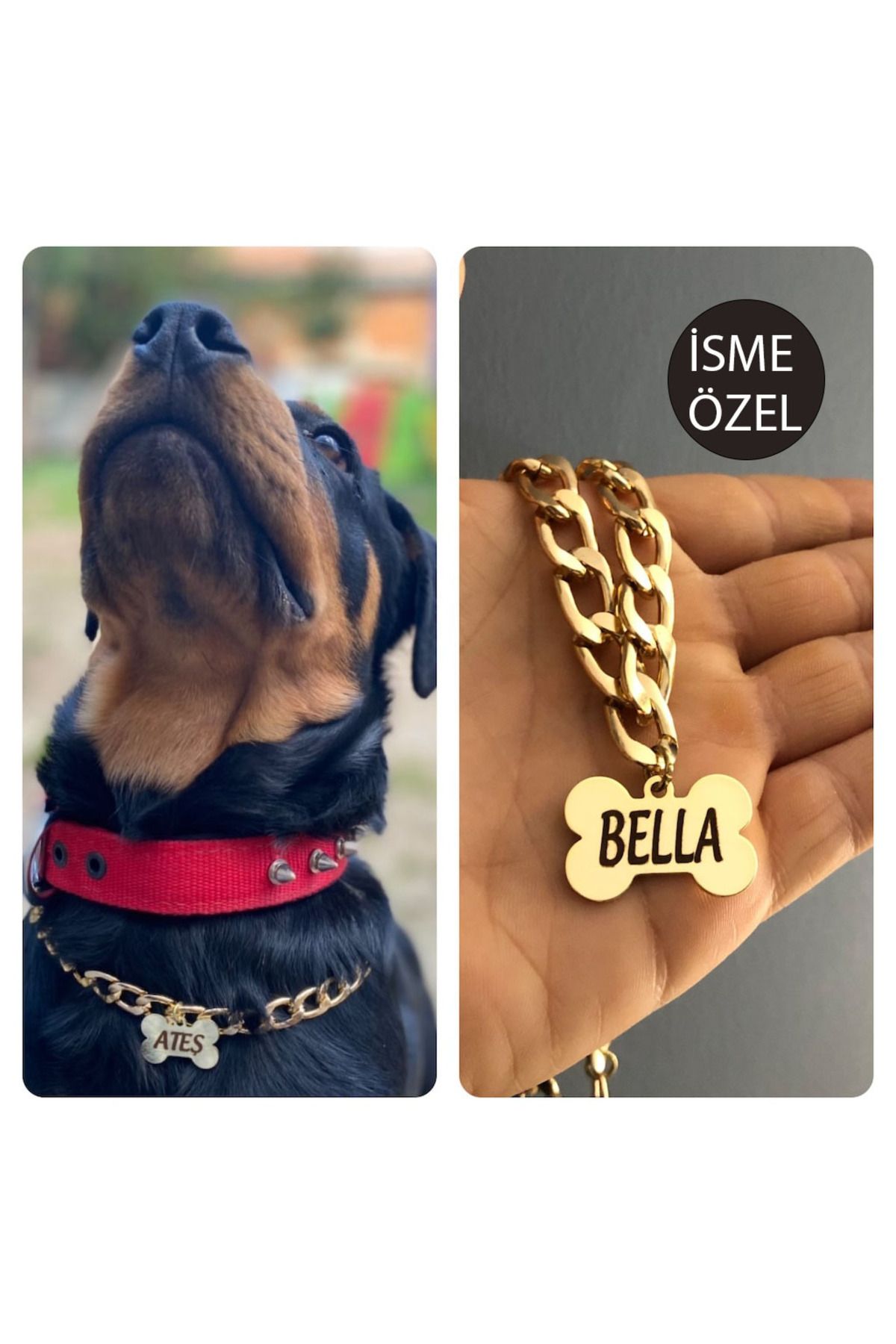 PETİSİM PET AKSESUARLARI Isimli Köpek Tasması Köpek Isimlik Künye Zincir Paslanmaz