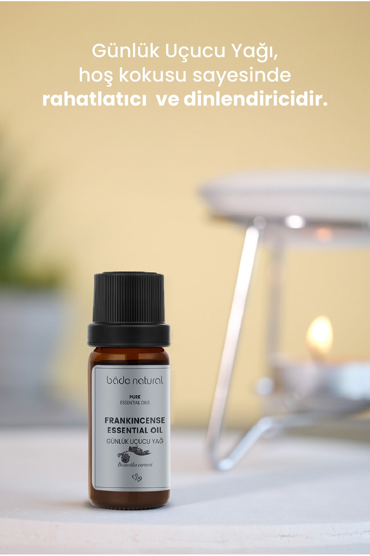 روغن مراقبتی کارخانه ها روزانه اسانس 100 ٪ خالص 10 میل Bade Natural