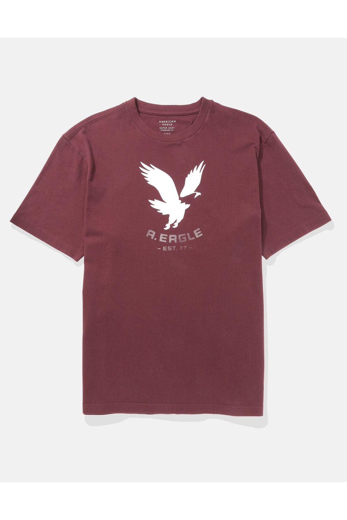American Eagle AE Logo Graphic T-Shirt - Trendyol