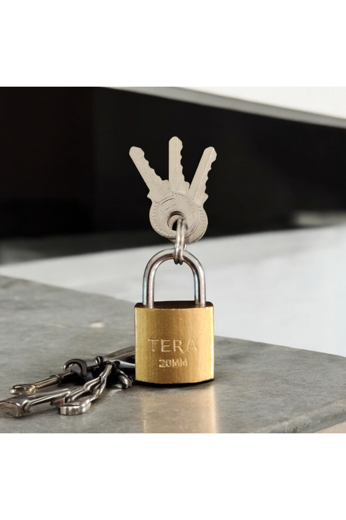 Teradol Tera Mini Küpe Kilit Asma Kilit ve Anahtar 20mm