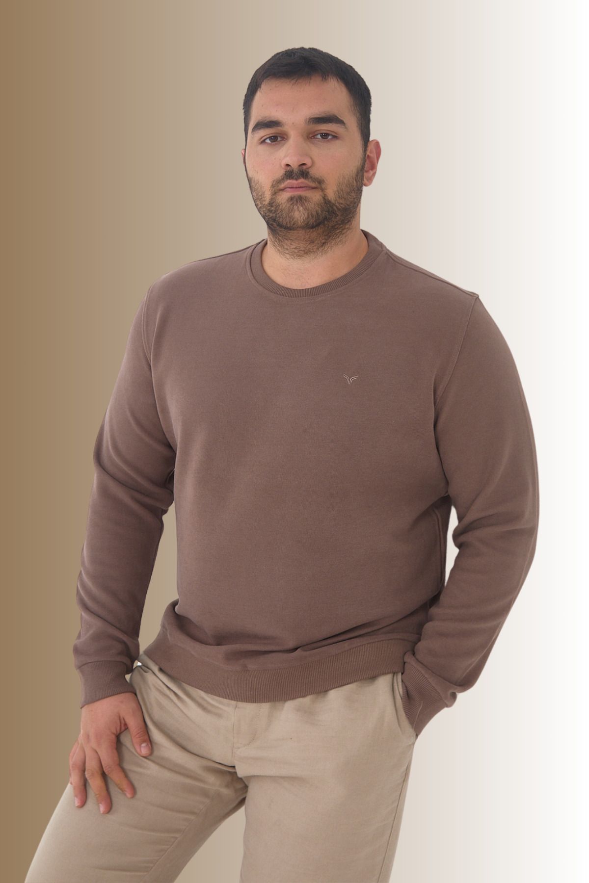 Erkek Kışlık Bisiklet Yaka Battal Basic Vizon Sweatshirt