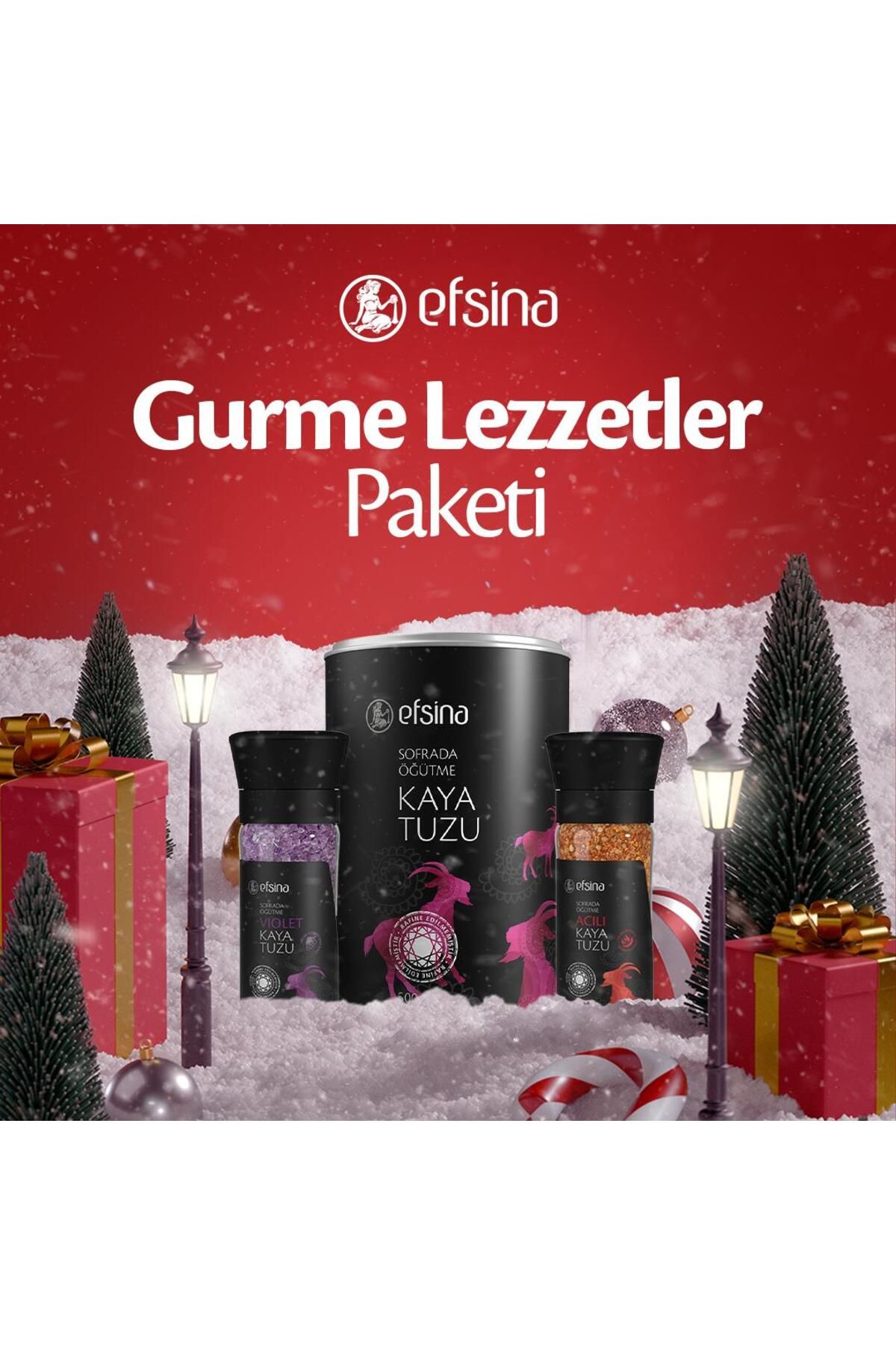 Efsina Gurme Lezzetler Paketi