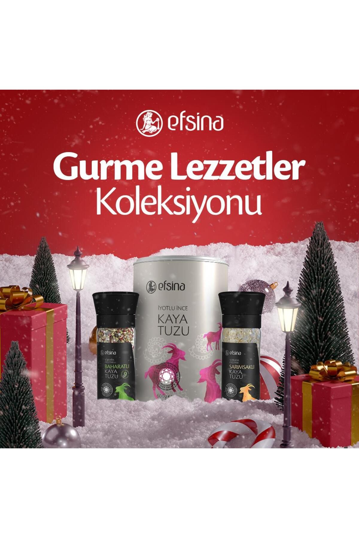 Efsina Gurme Lezzetler Koleksiyonu