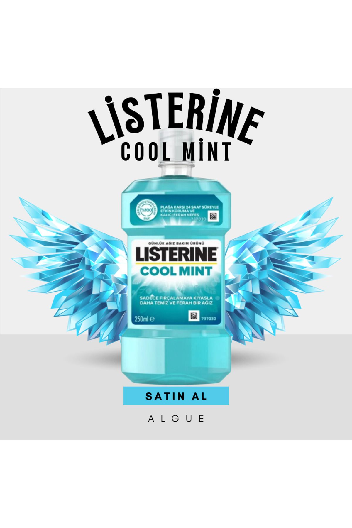 Carrefour Listerine Cool Mint 1000 ml