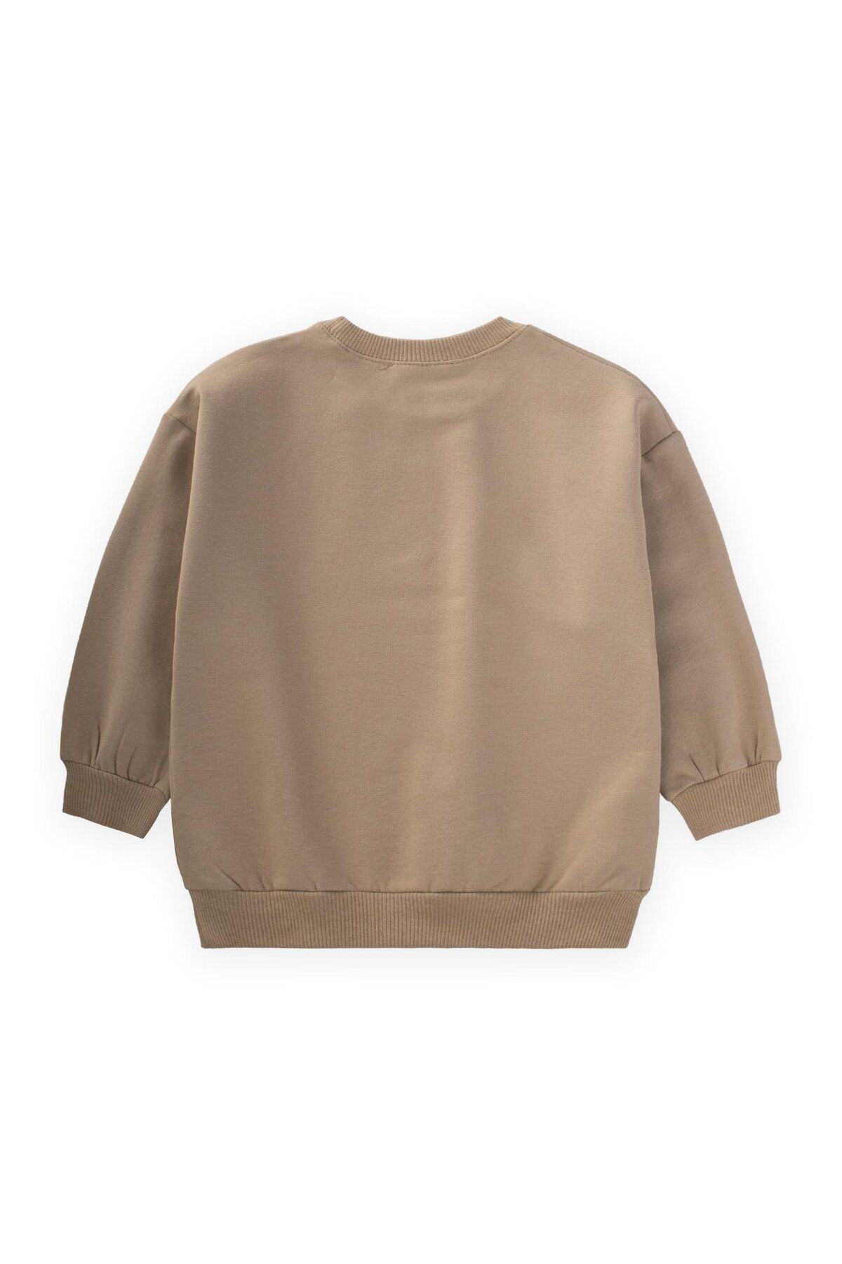 Cigit-1-8 Years S Mink Colored Text Printed Sweat 2