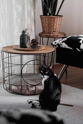 Dekoratif 2 Lİ KEDİ YUVALI ORTA SEHPA VE YAN SEHPA