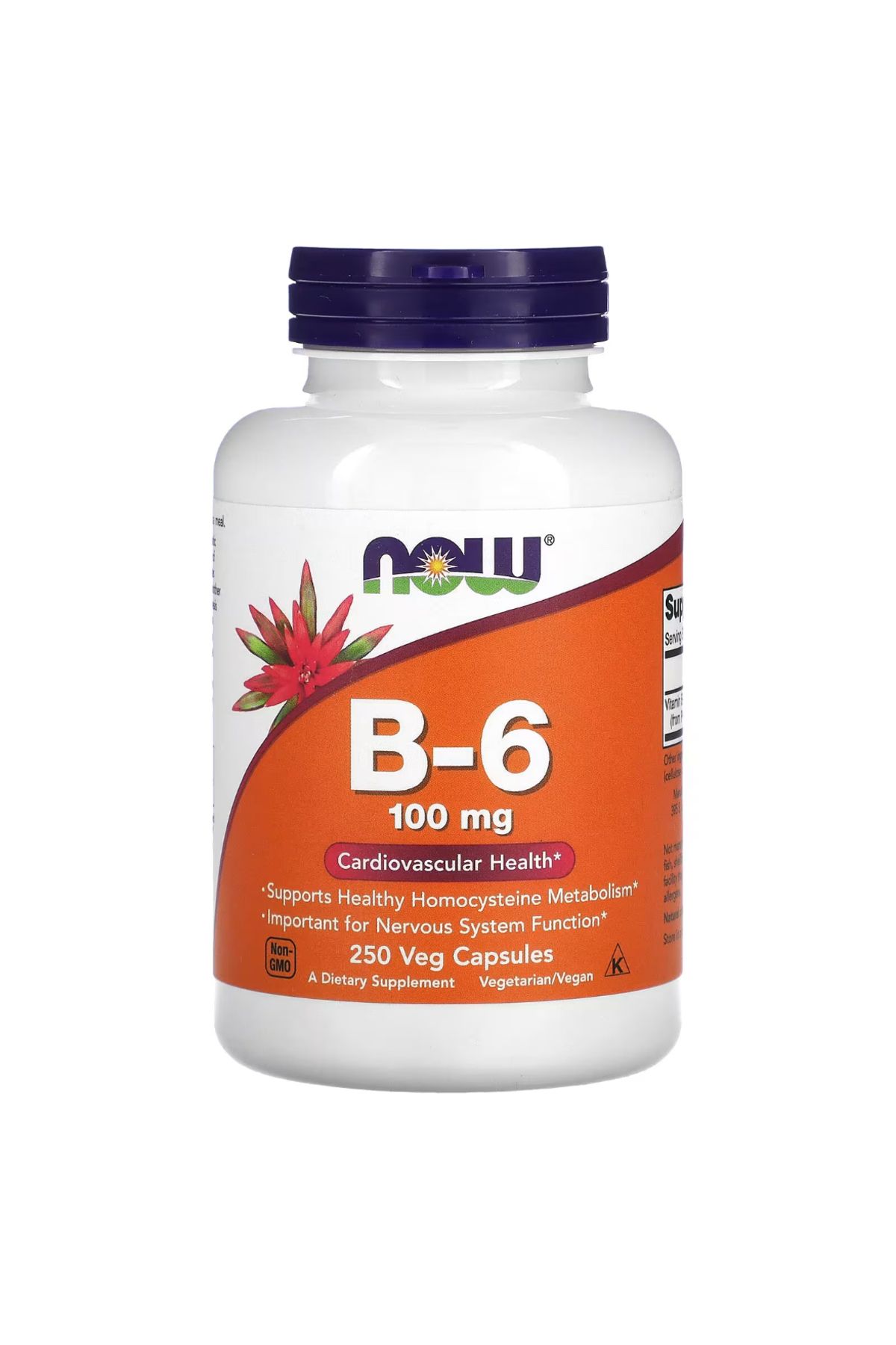 Now Foods, B6, 100 mg, 250 Veg Capsules vr7