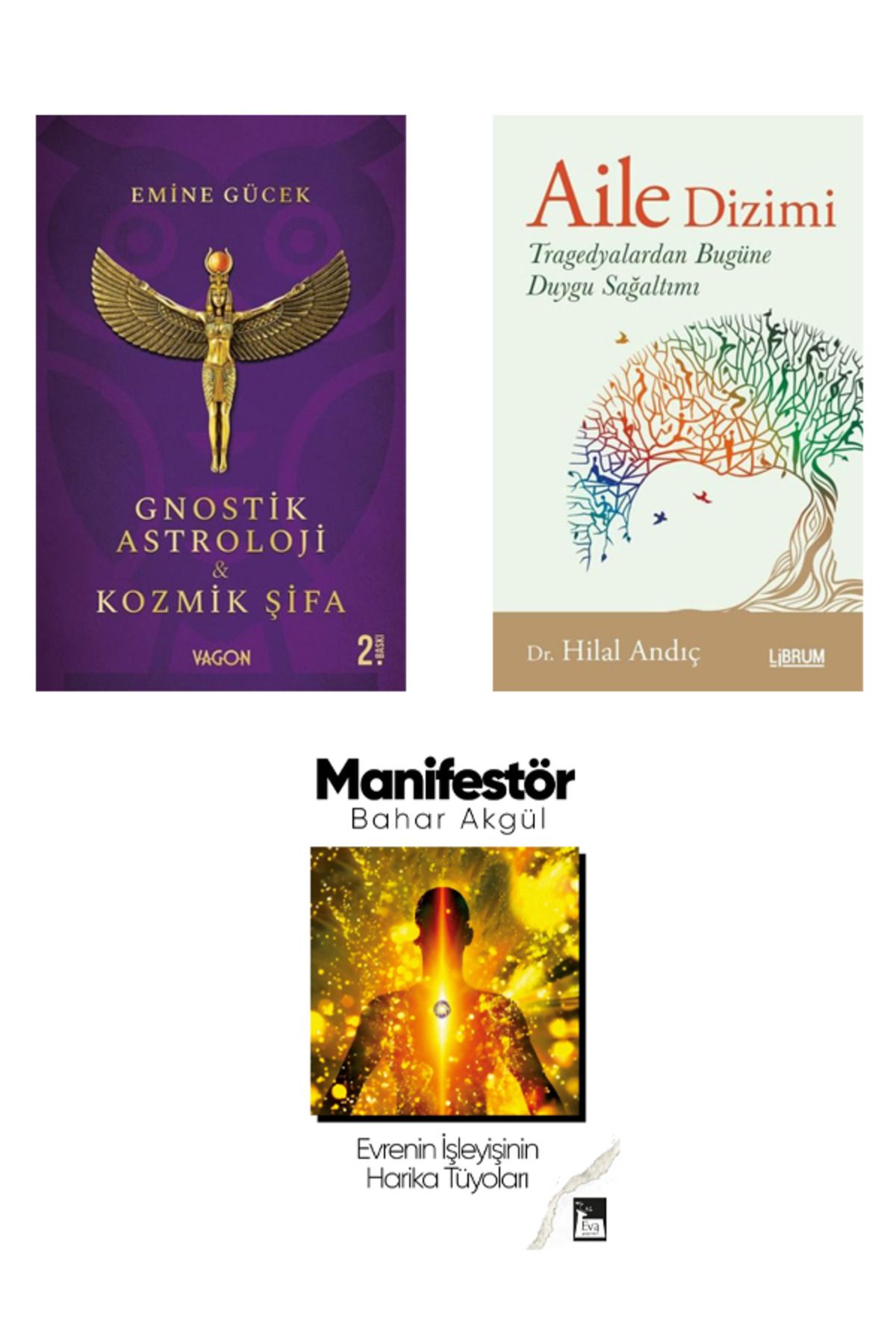 Vagon Kitap Aile Dizimi - Gnostik Astroloji -Manifestör Hediye (3 Kitap Takım) Kozmik Şifa
