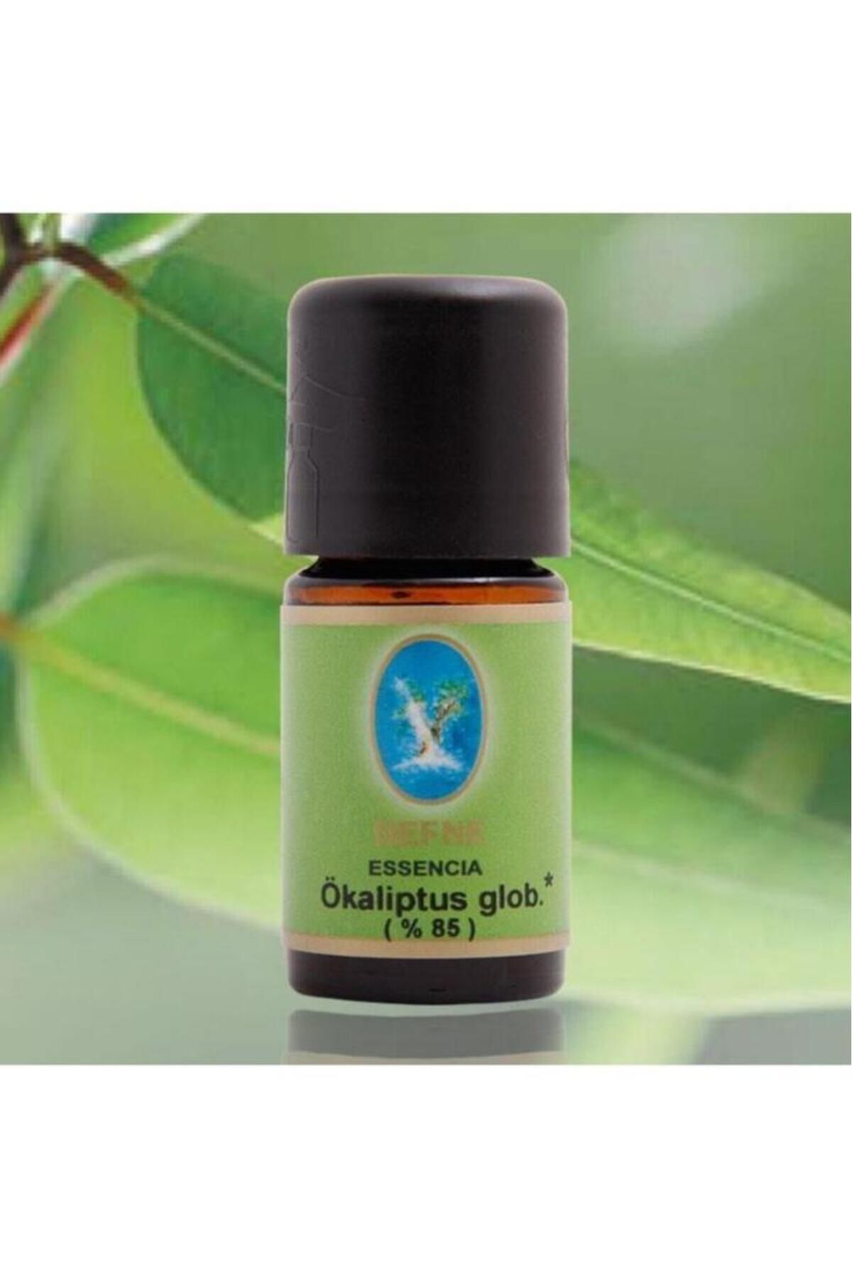 NUKA-Laurel Esencia - 85% 100% Pure Eucalyptus Globus Essential Oil 5 ml 2