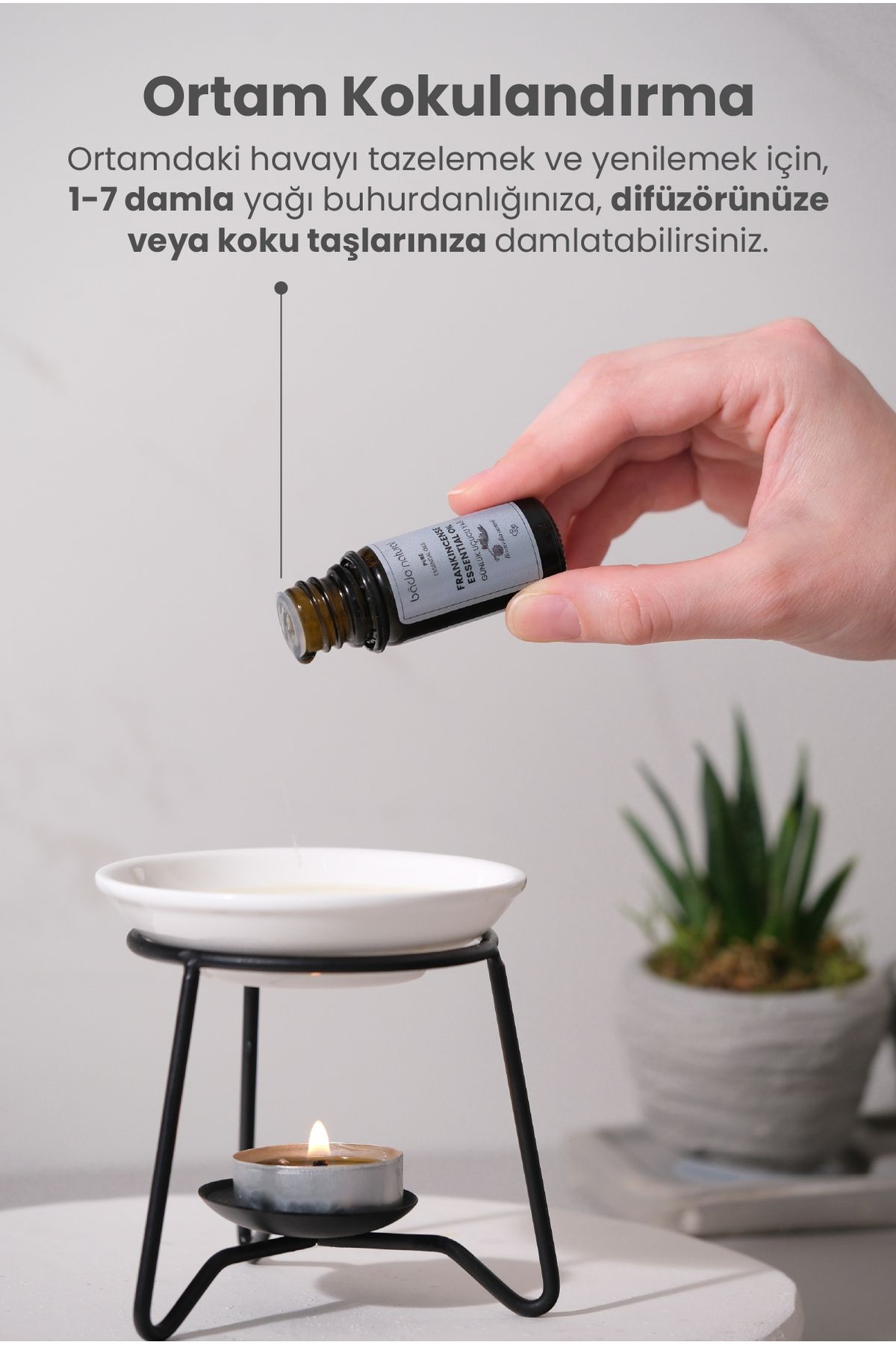 روغن مراقبتی کارخانه ها روزانه اسانس 100 ٪ خالص 10 میل Bade Natural