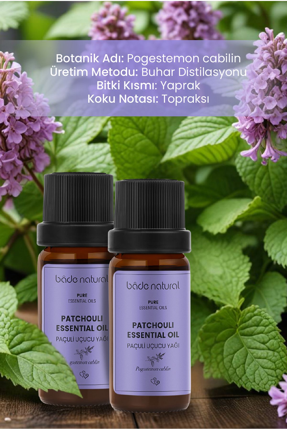 روغن مراقبتی ویرایش پاچولی 100 ٪ خالص 10 میل Bade Natural