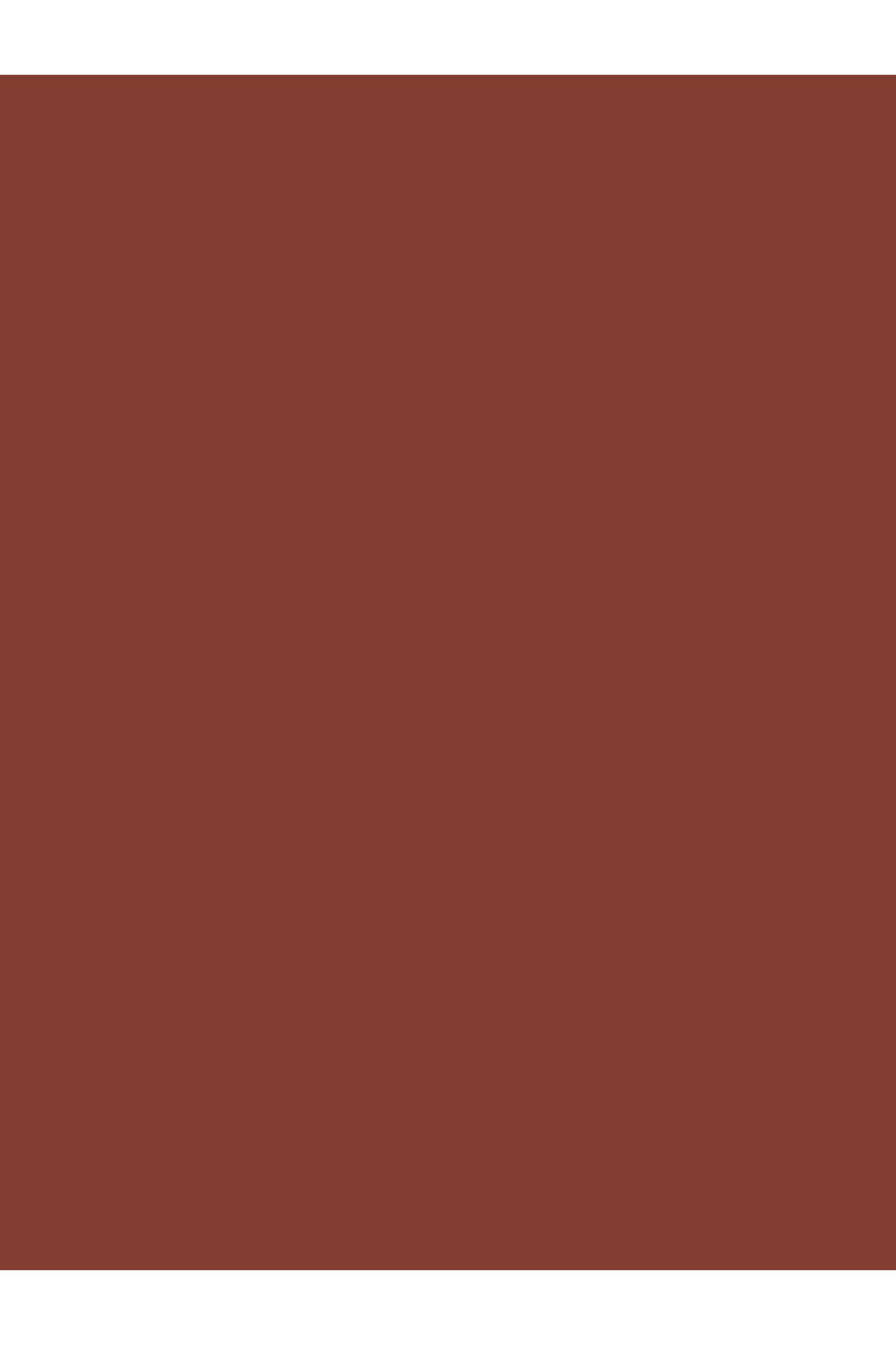 beaulis-Cinnamon Crush Maple Bliss - Matte Lipstick Velvety Lip Mousse 3