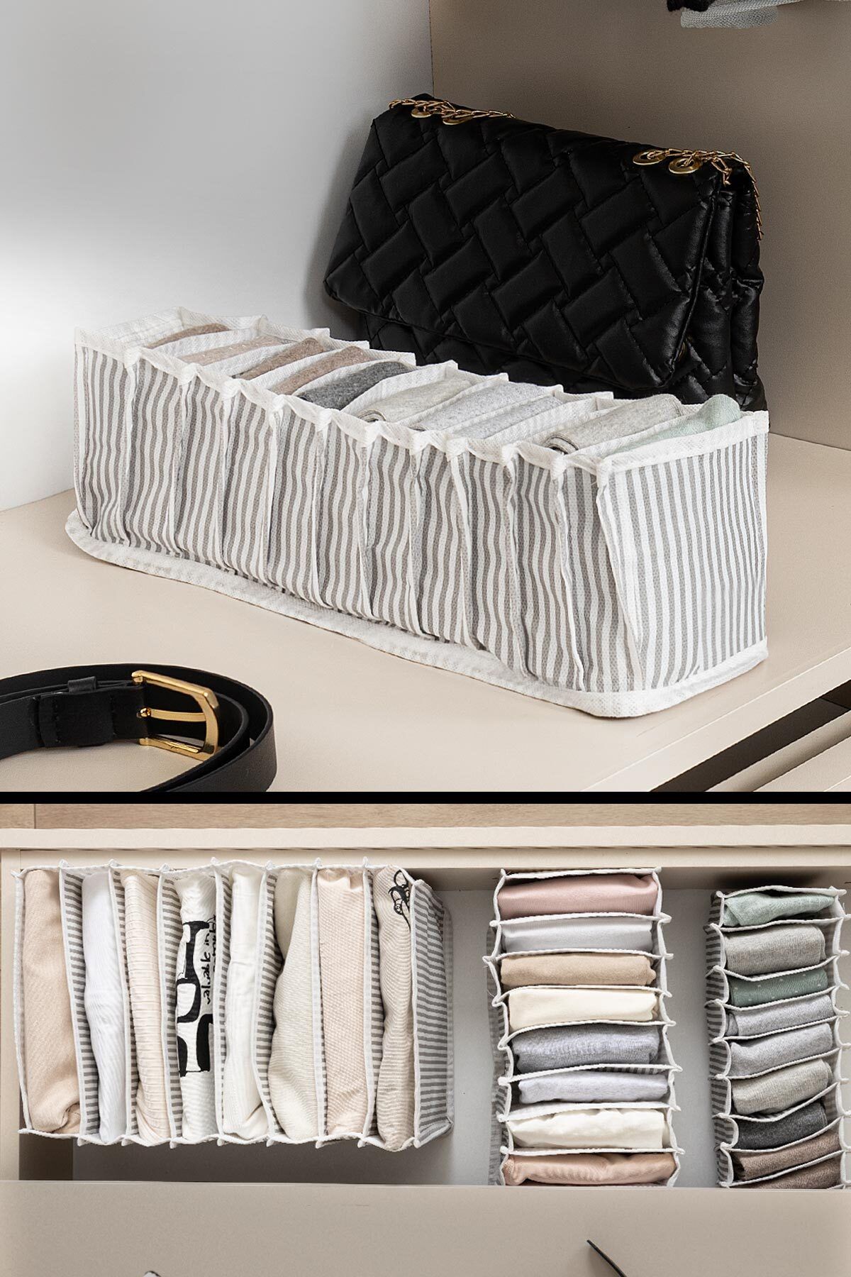 ALAS-Limited Accordion Organizer 4