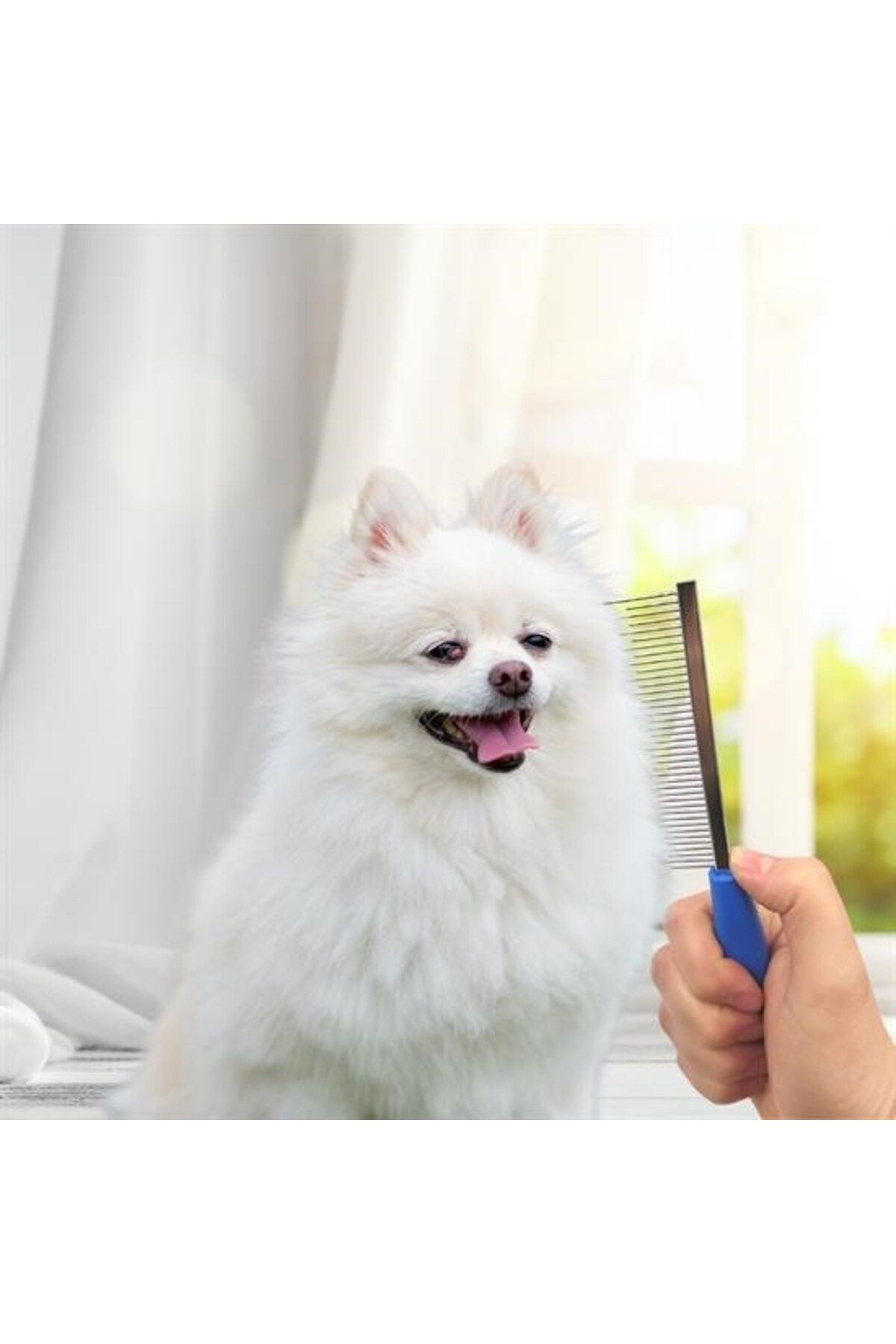 Woody Sofia-Hair Lightener Cat Dog Comb Single Sided Metal Gear Pet Grooming Brush 2