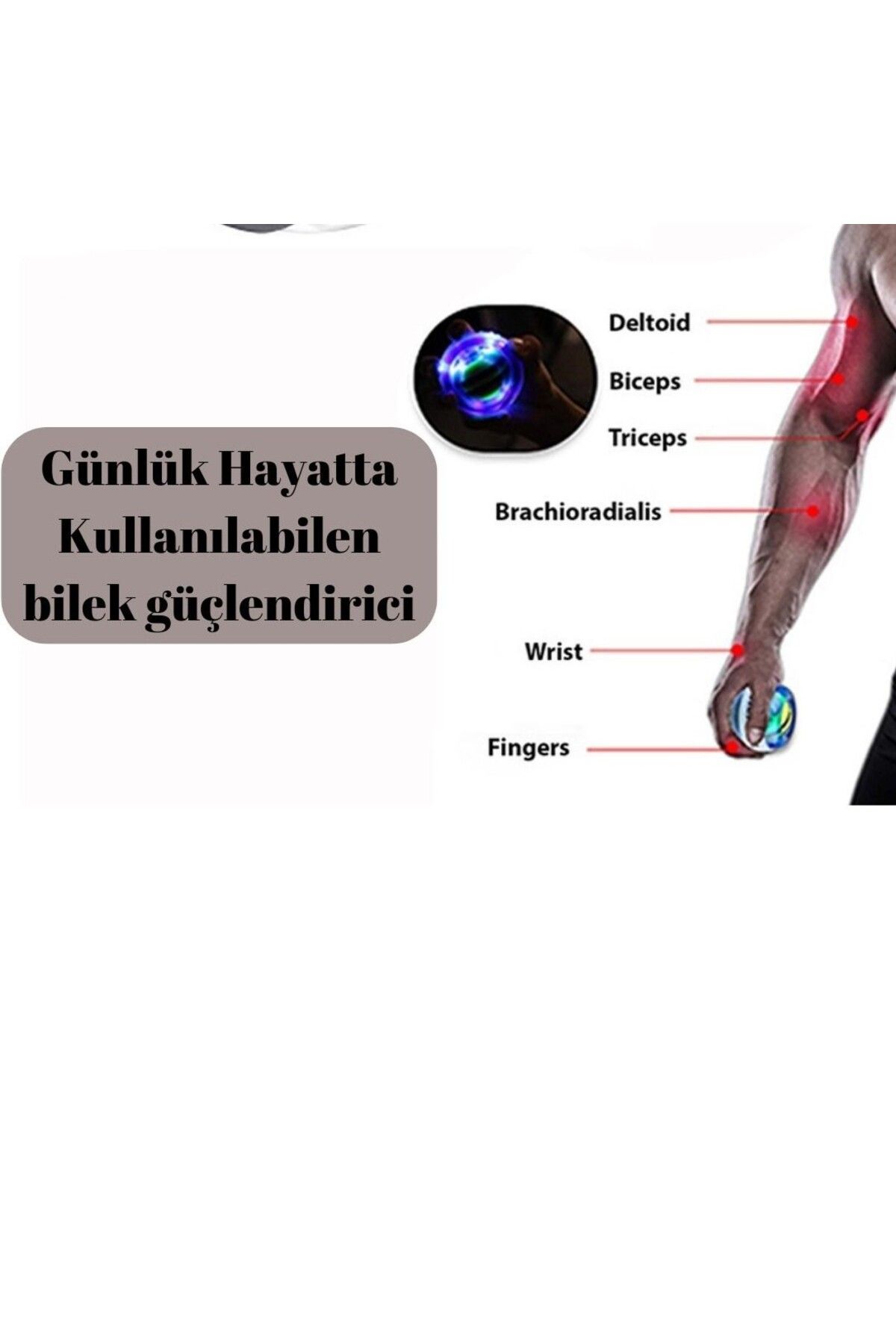 Woody Sofia-Exercise Gyroball Ball - Wrist and Arm Developer Tool 2