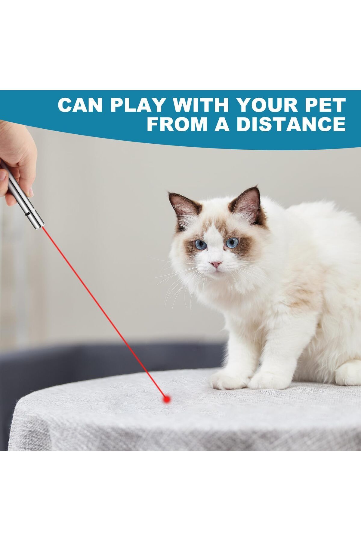 Arabest-Cat Toys, Laser Pointer with 5 Adjustable Patterns, USB Recharge Laser, Long Range 7