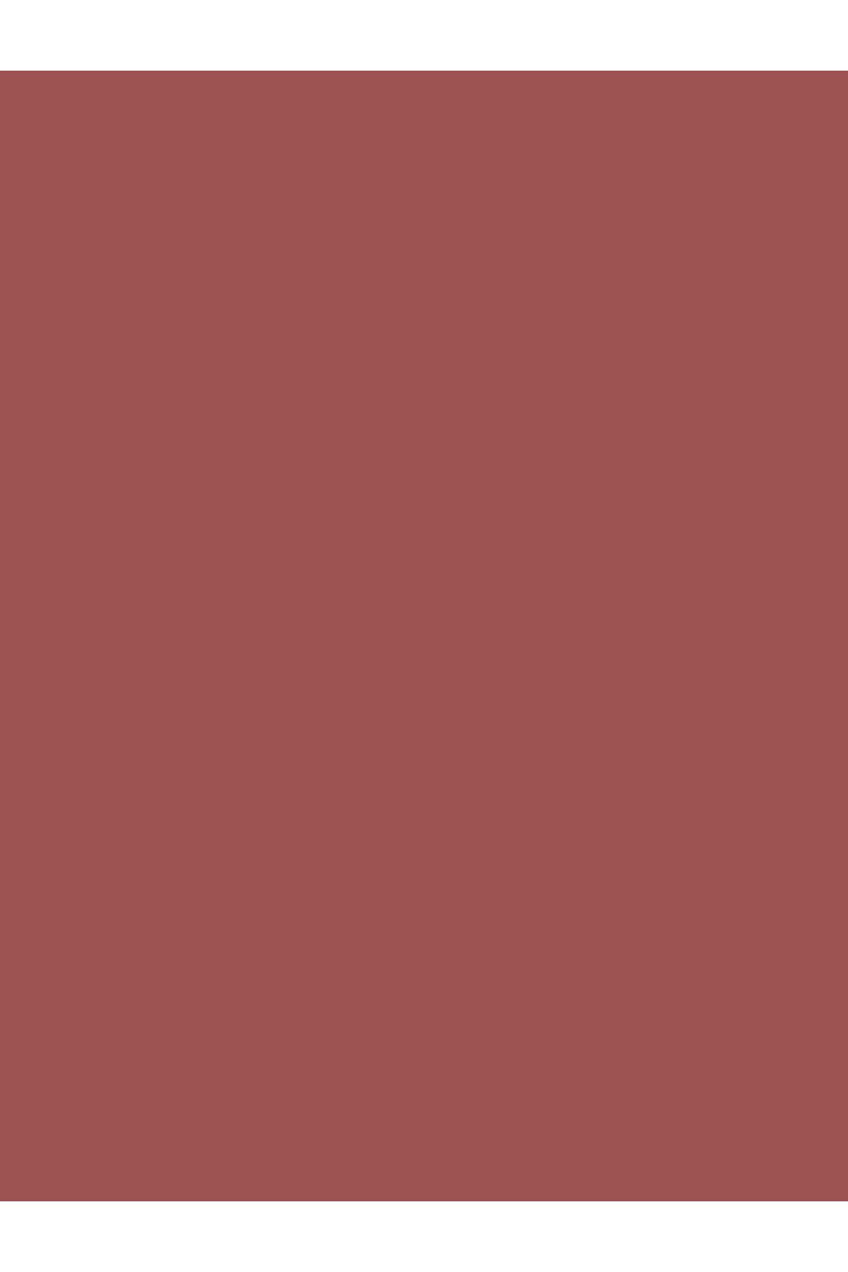 lykd-Gleam Lip Fluid Lip Gloss Lips Full of Intense Gloss and Moisture 2