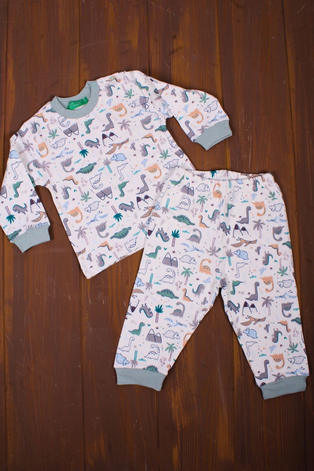 Babydonat-Dinosaur Patterned Baby Boy Tracksuit Set 100% Cotton 4