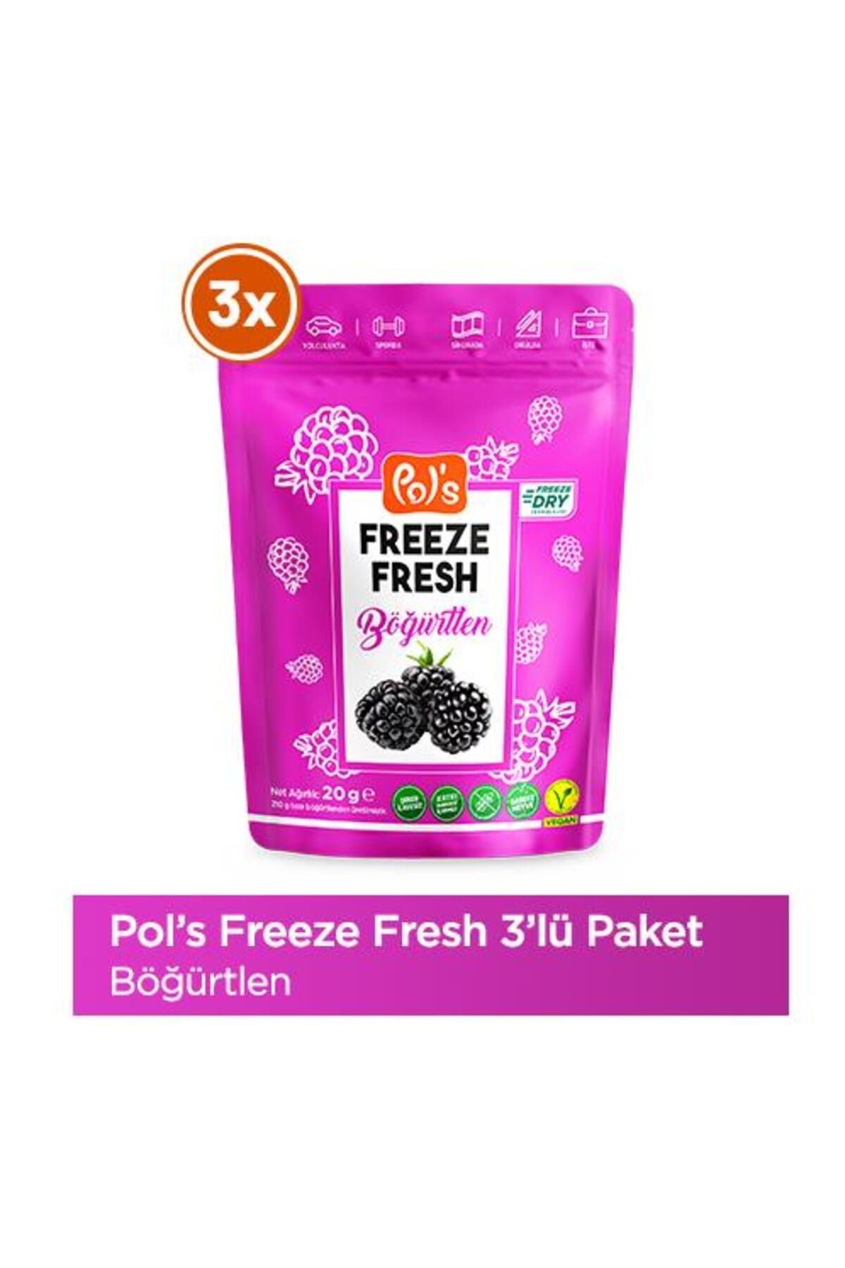 Pol's Freeze Fresh Böğürtlen 20 G X 3 Adet Freeze Dry Dondurularak Kurutulmuş Meyve