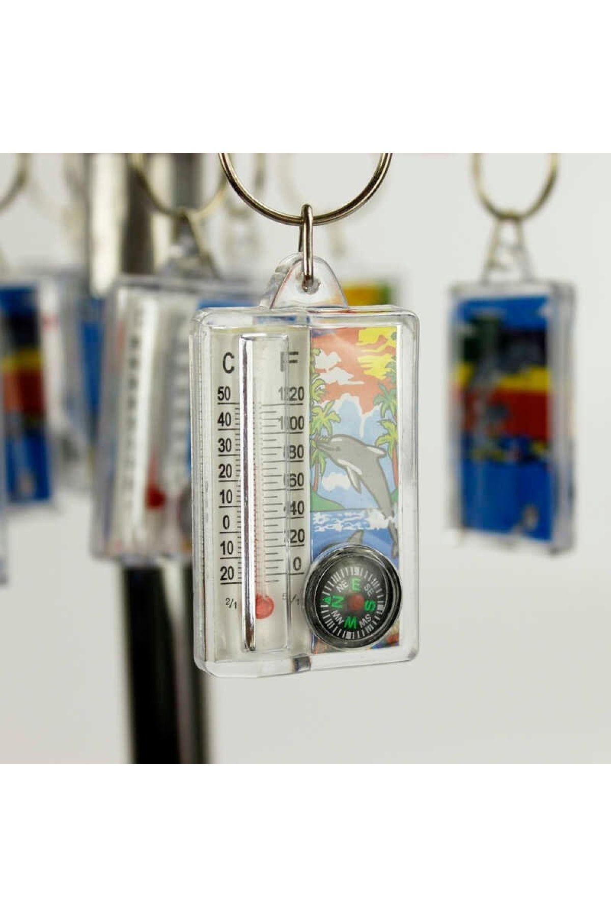 naque-Thermometer Graduated and Patterned Compass Keychain 3