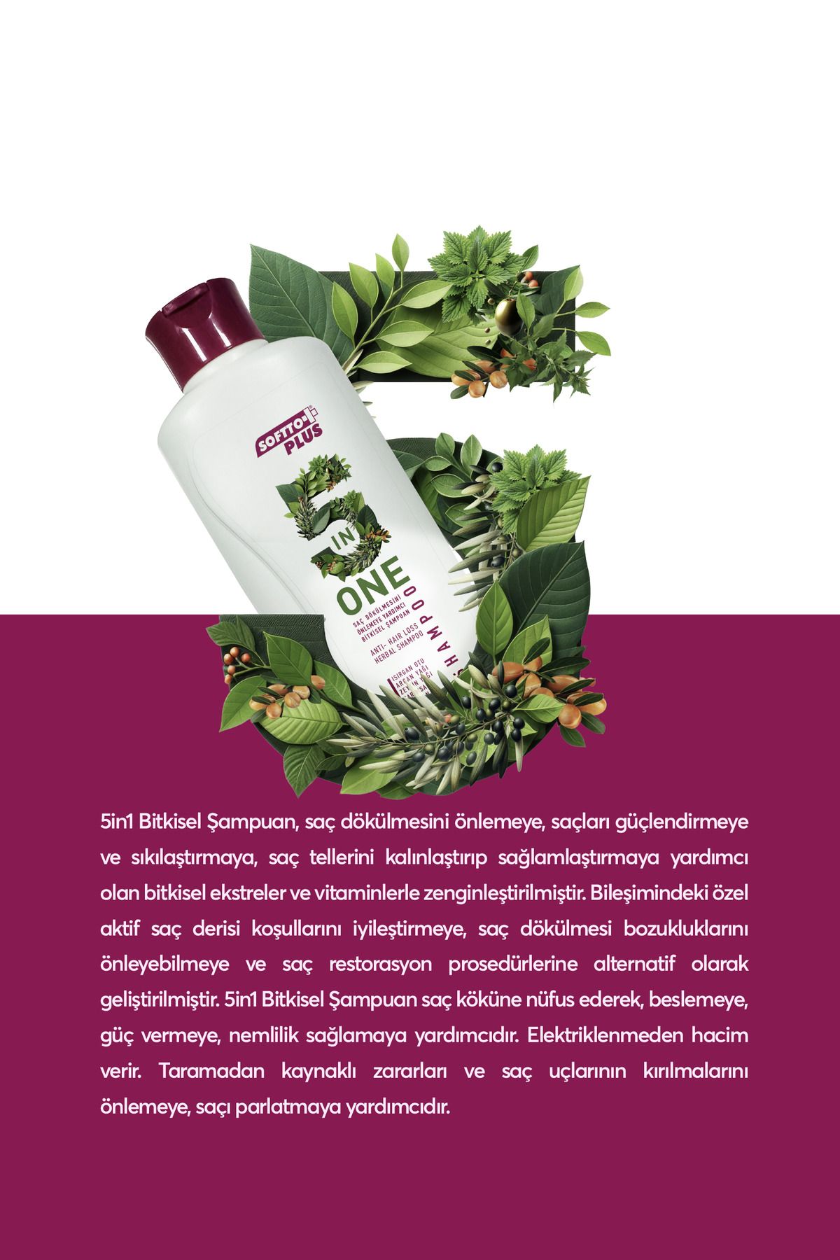 Softto Plus-5 in 1 Anti-Hair Loss Shampoo Suitable for All Hair Types 360.ml, 3