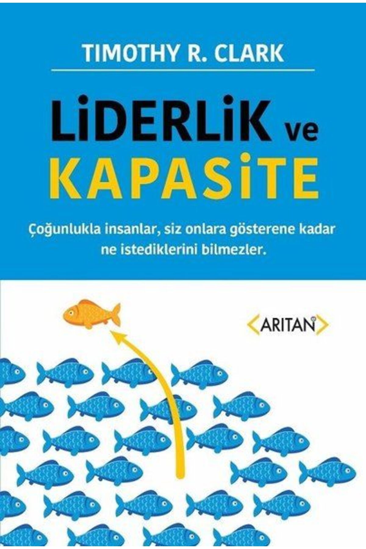 Arıtan Yayınevi Liderlik ve Kapasite