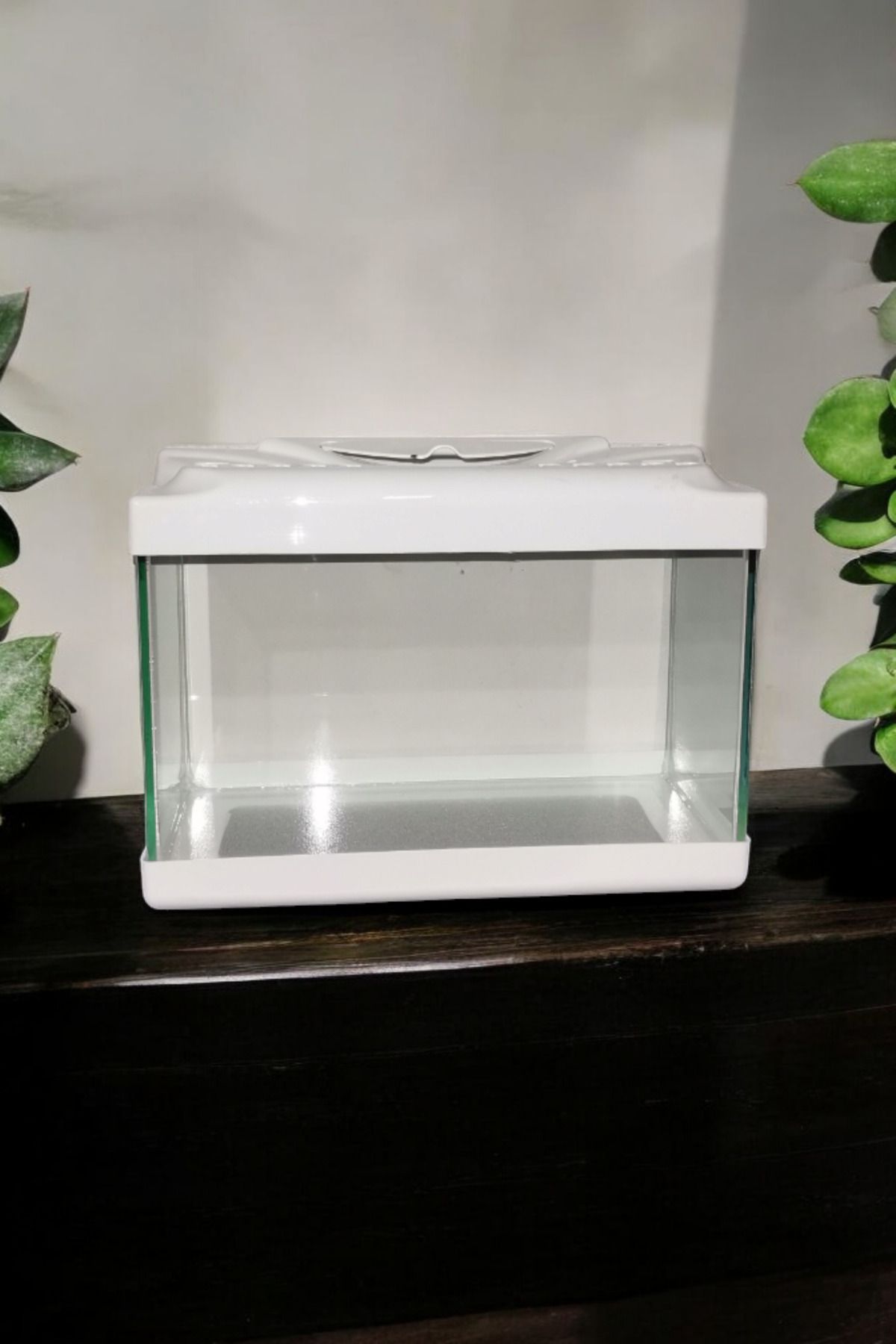 Akvaryum Mdizmir Petshop Mini 30cm Karışık Renklerde Gönderilecektir.