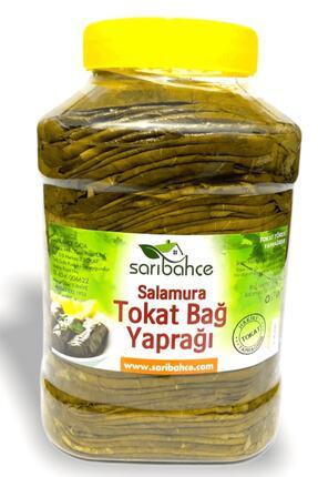 Tokat Asma Yaprağı 5 Kg - Yeni Sezon