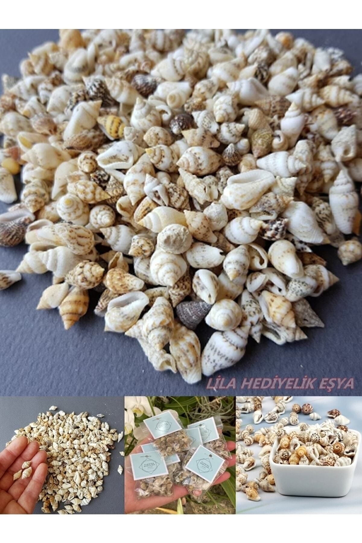 LilaHediyelikEşya 250 gram Nassa Shell Doğal Deniz Kabuğu (BOYUT ORTALAMA 1 CM)