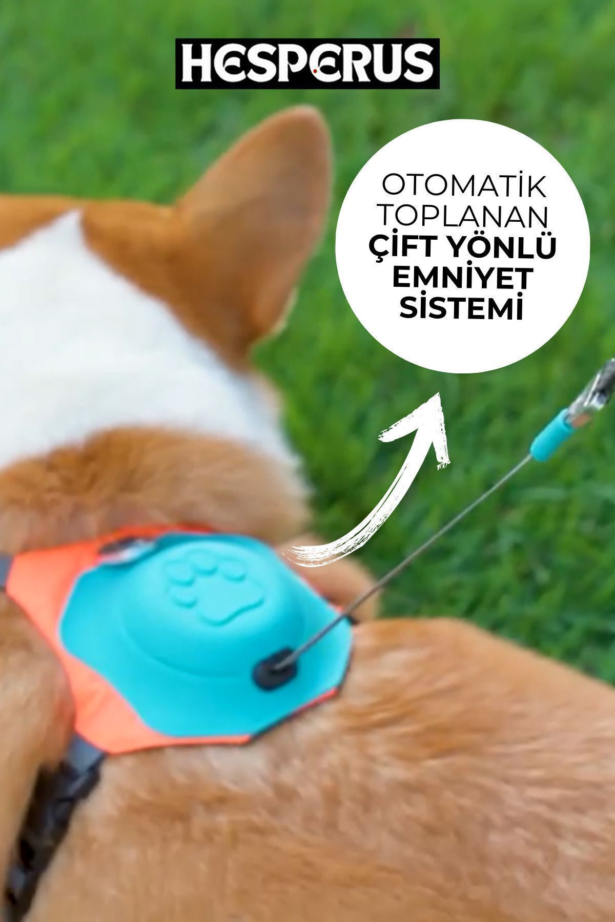 HESPERUS Köpek Tasması Gövdelik Ve Göğüslük Otomatik Toplama