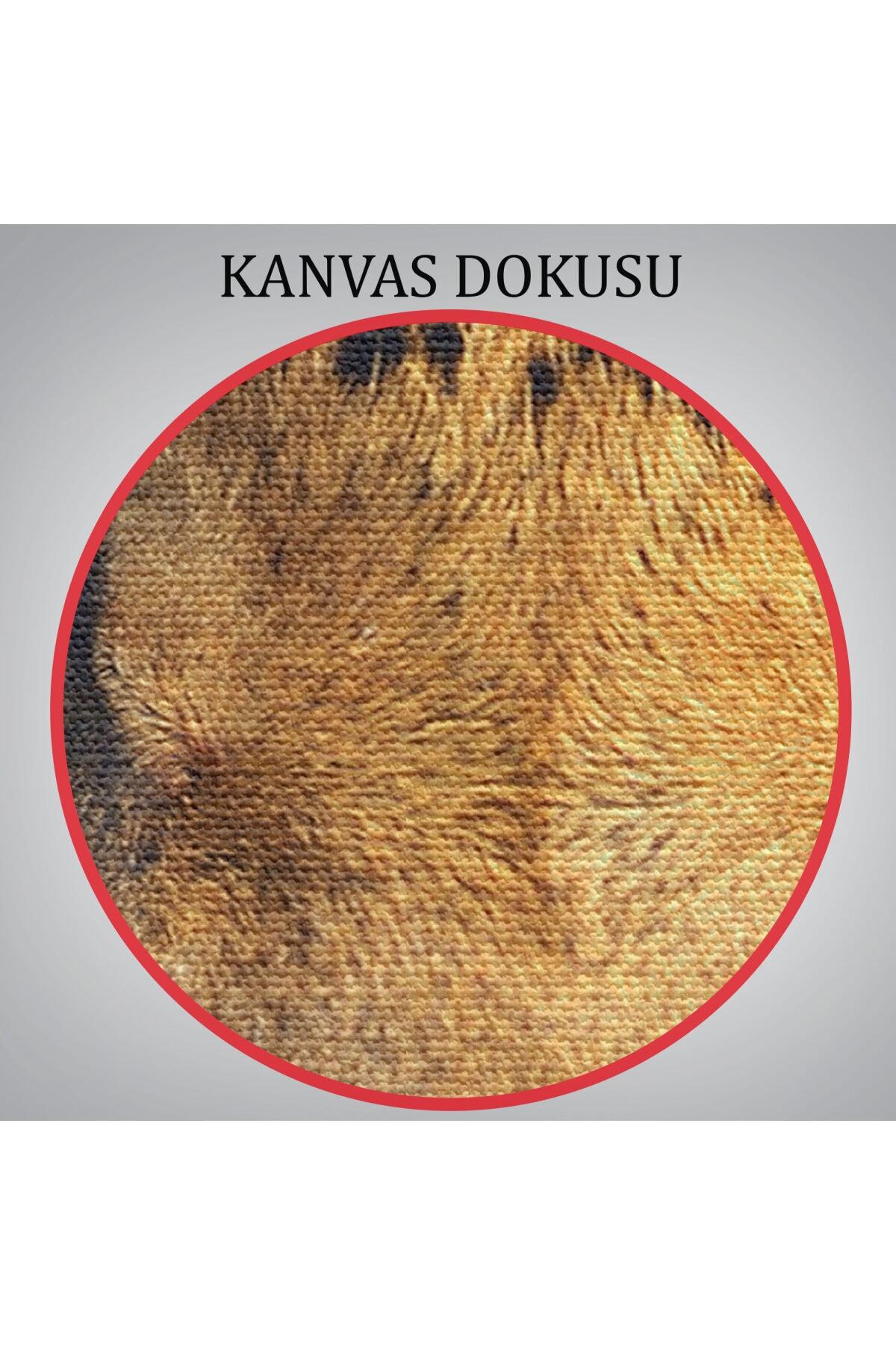 Leopar Dekoratif Kanvas Tablo görsel 5