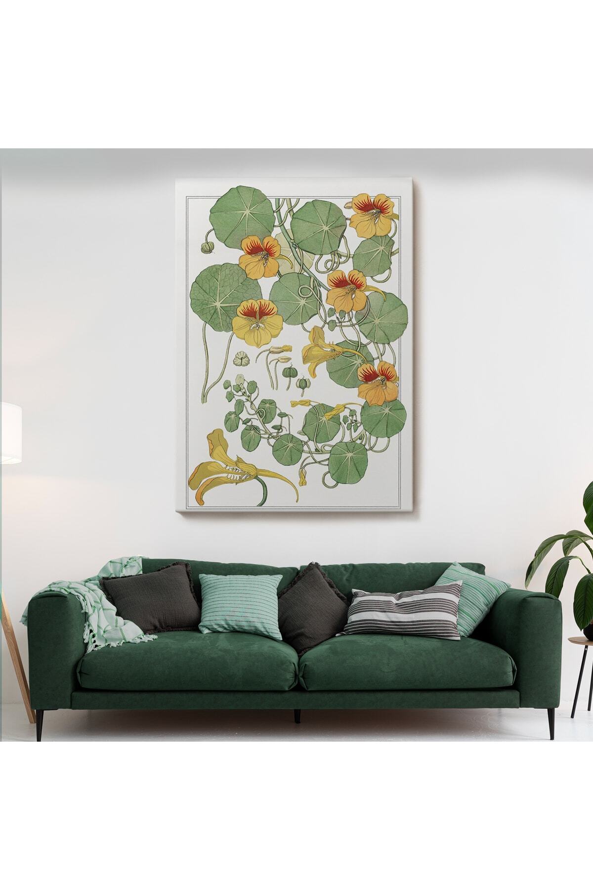Nasturtium Çiçeği Kanvas Tablo görsel 2