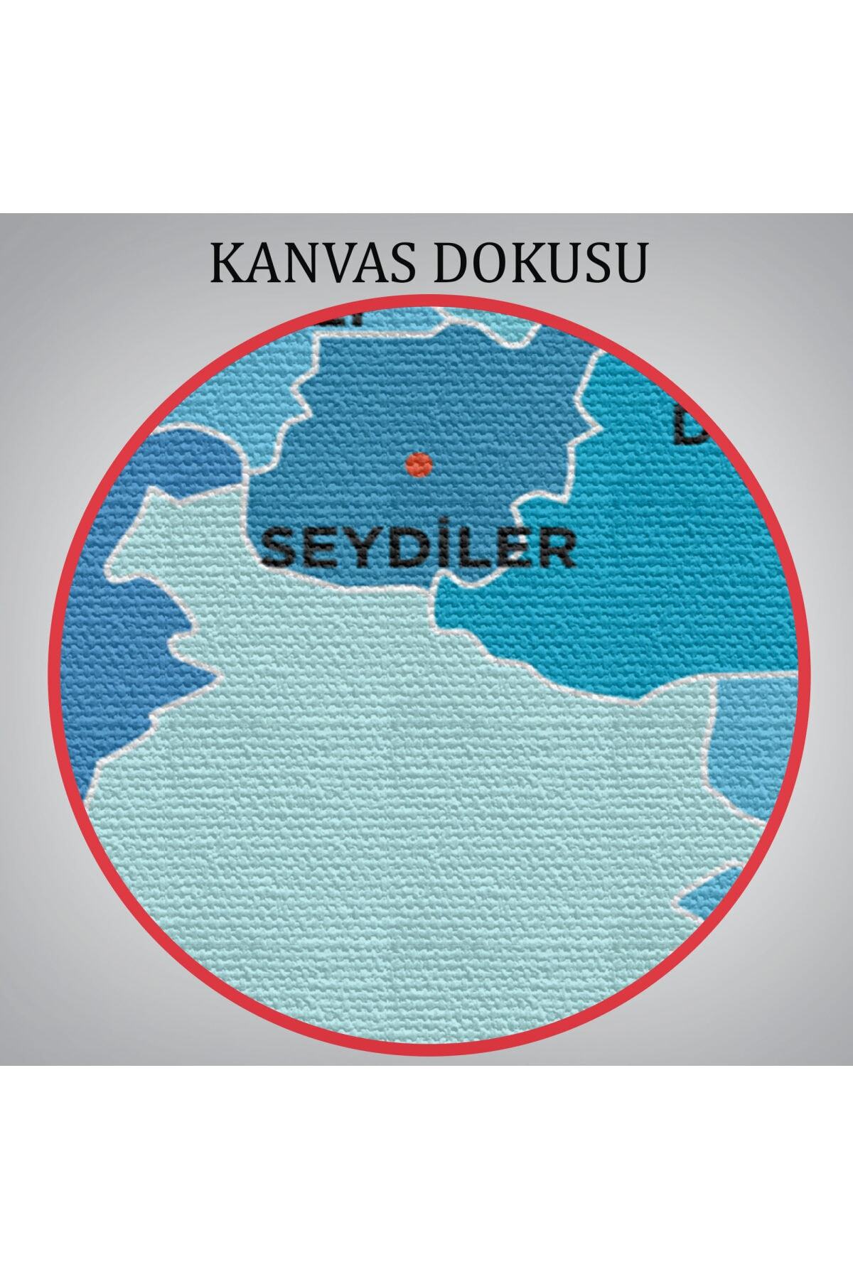 Kastamonu Ili Ve Ilçeler Haritası Dekoratif Kanvas Tablo-2 görsel 6
