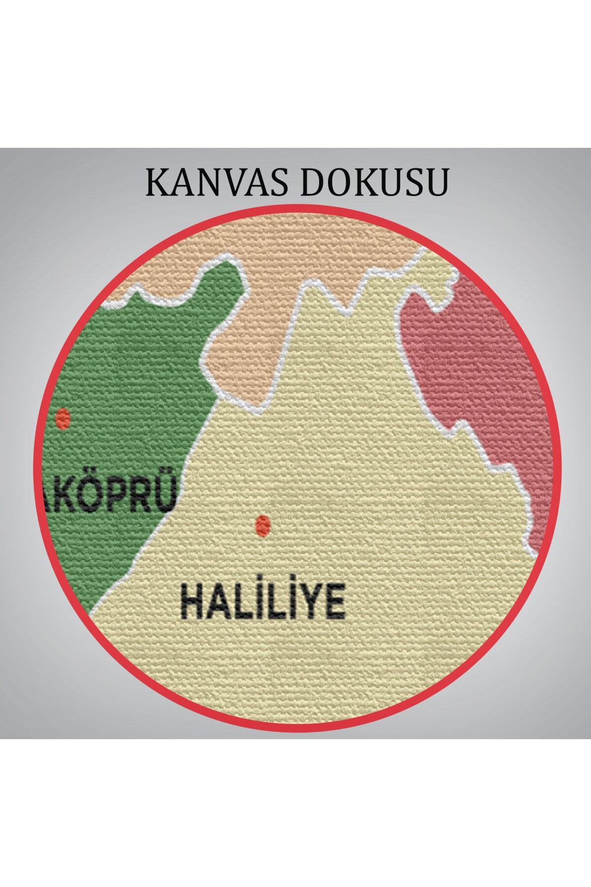 Şanlıurfa Ili Ve Ilçeler Haritası Dekoratif Kanvas Tablo-1 görsel 6