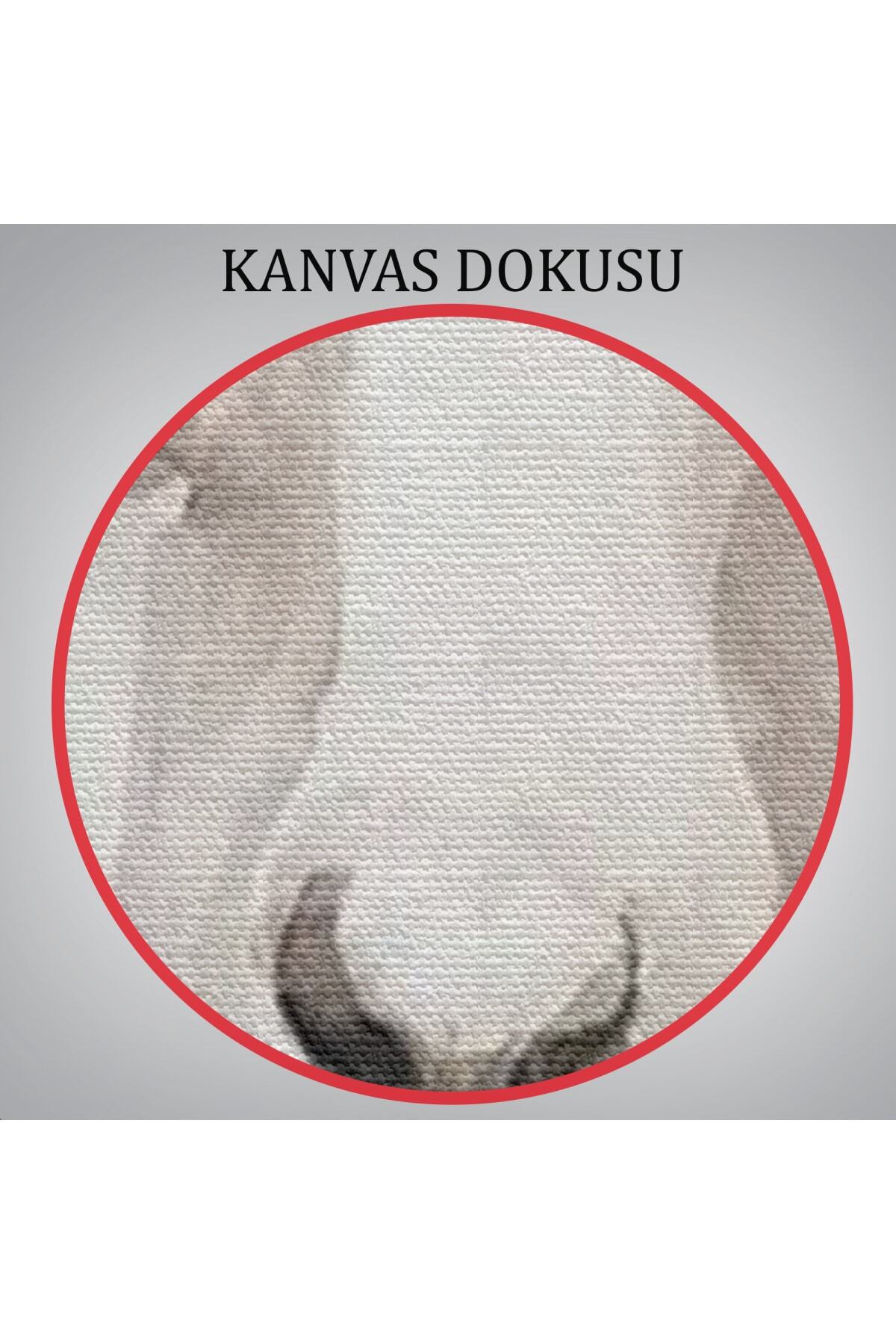 Bahar Laması Suluboya Görünümlü Kanvas Duvar Tablosu görsel 6