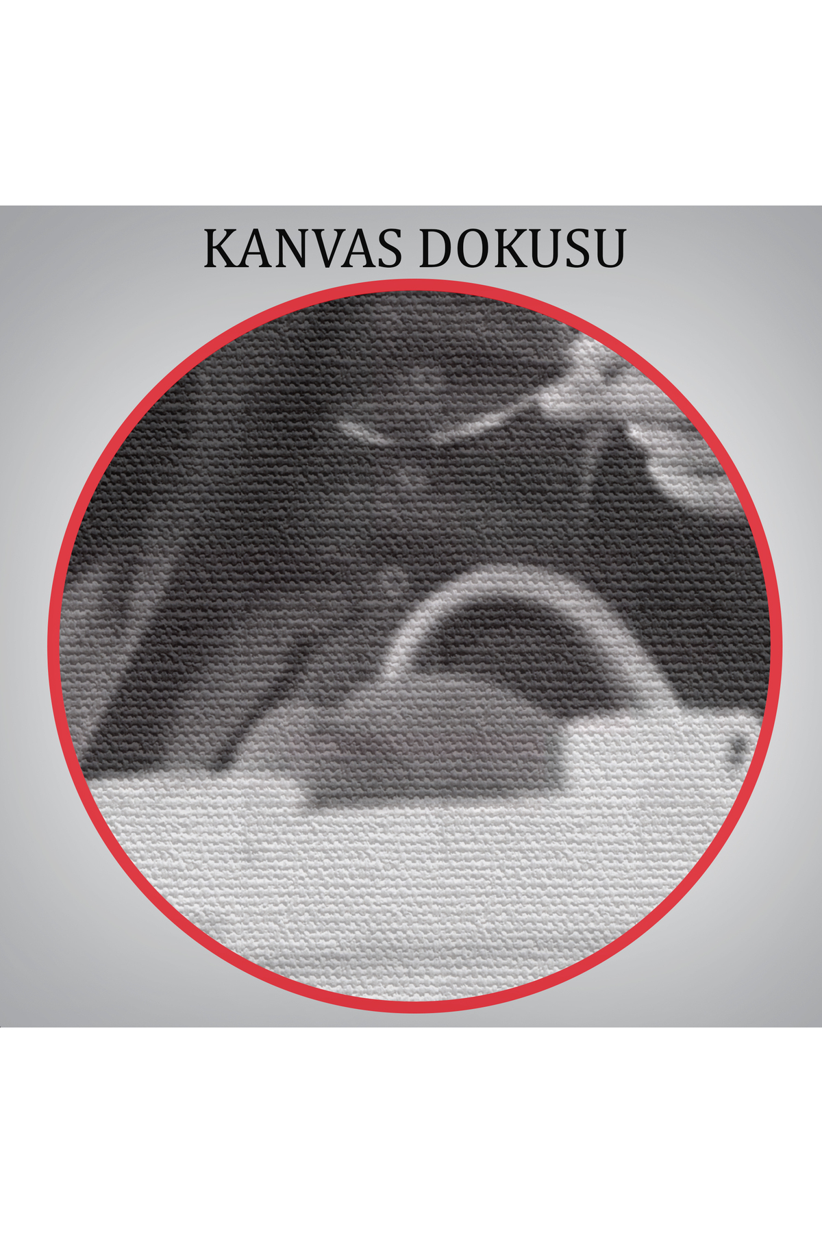 Atatürk Portre Tablosu Mustafa Kemal Atatürk Dikdörtgen Dekoratif Kanvas Tablo görsel 5