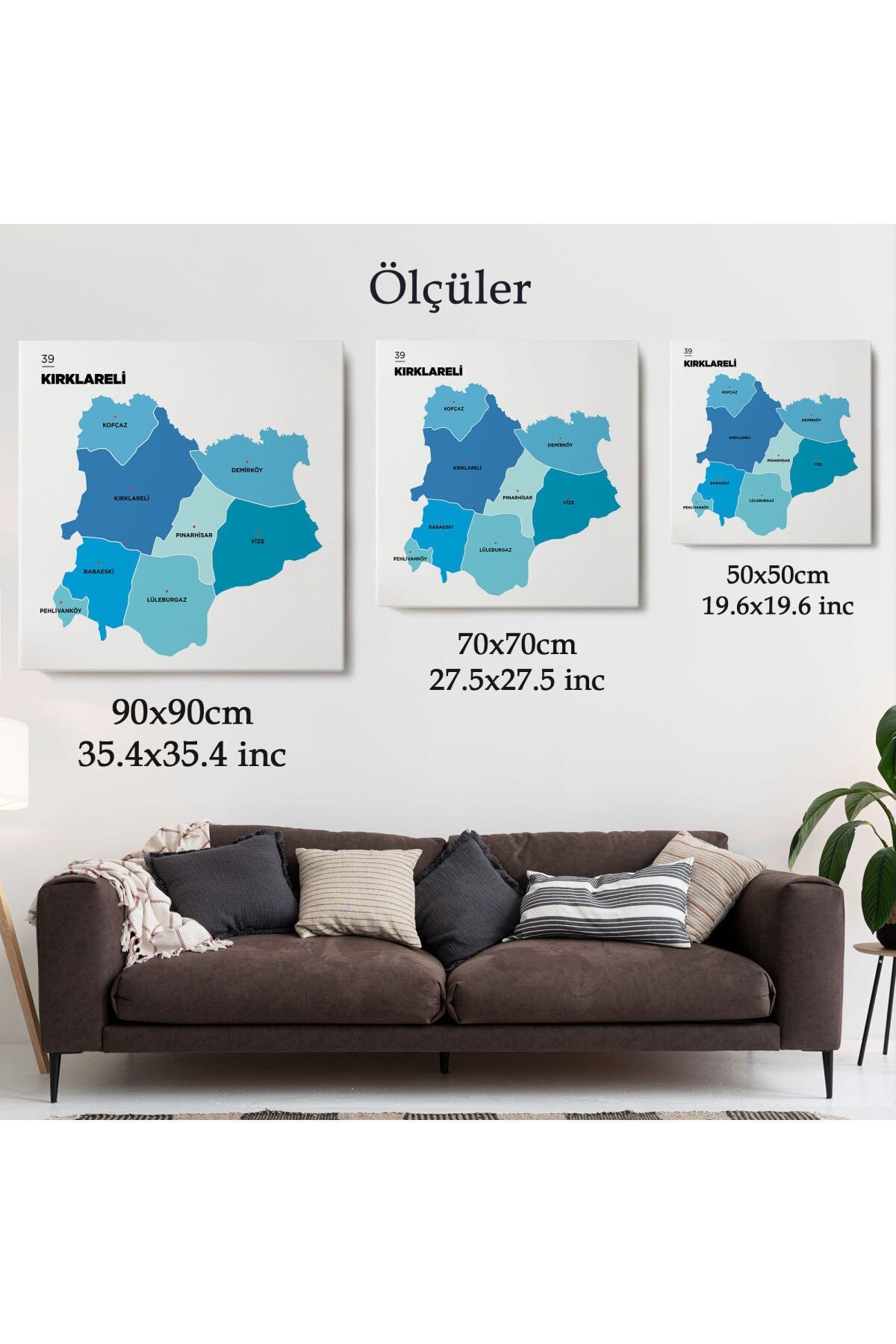 Kırklareli Ili Ve Ilçeler Haritası Dekoratif Kanvas Tablo-2 görsel 5