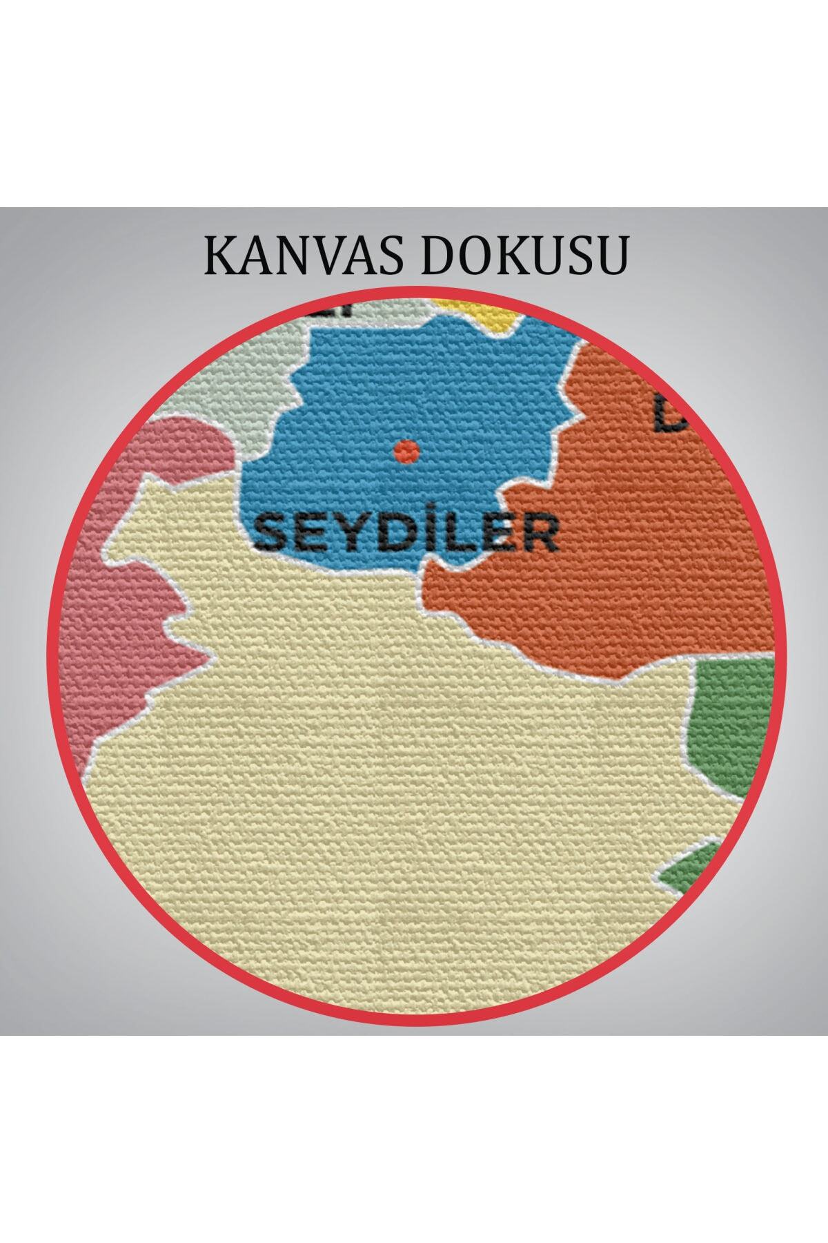 Kastamonu Ili Ve Ilçeler Haritası Dekoratif Kanvas Tablo-1 görsel 6