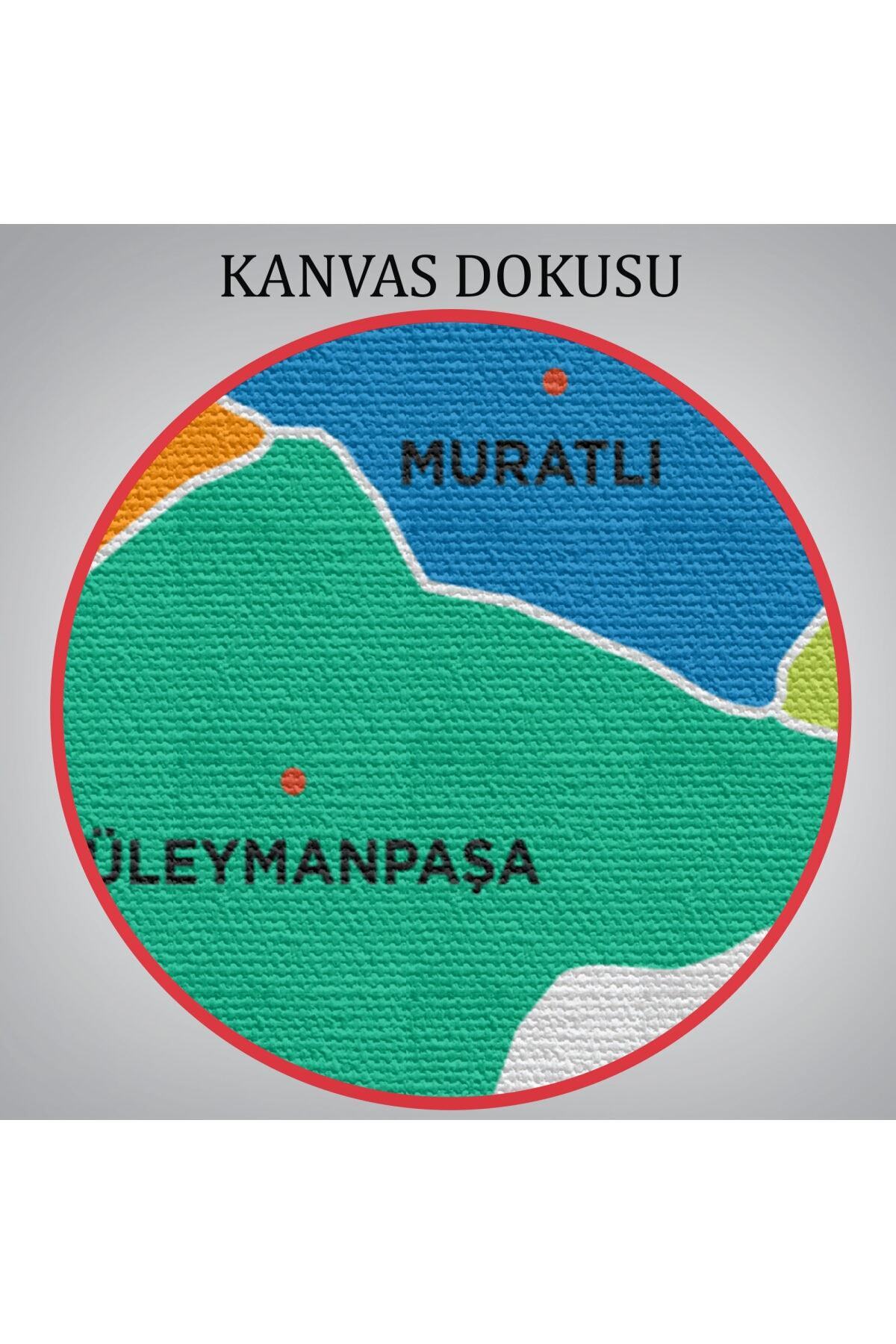 Tekirdağ Ili Ve Ilçeler Haritası Dekoratif Kanvas Tablo görsel 6