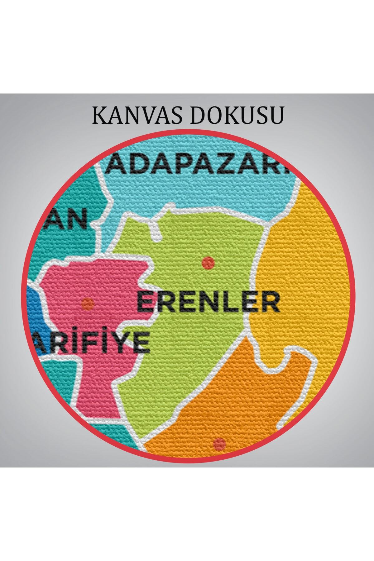 Sakarya Ili Ve Ilçeler Haritası Dekoratif Kanvas Tablo görsel 6