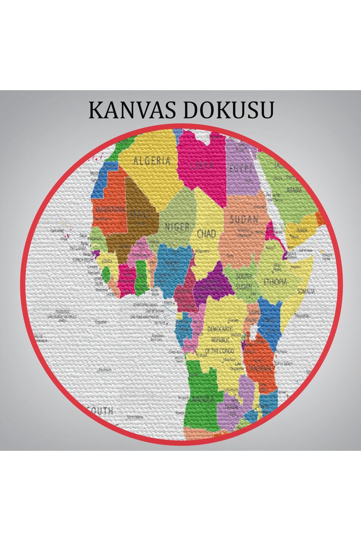 Dünya Haritası Detaylı Dekoratif Kanvas Tablo-3 görsel 7