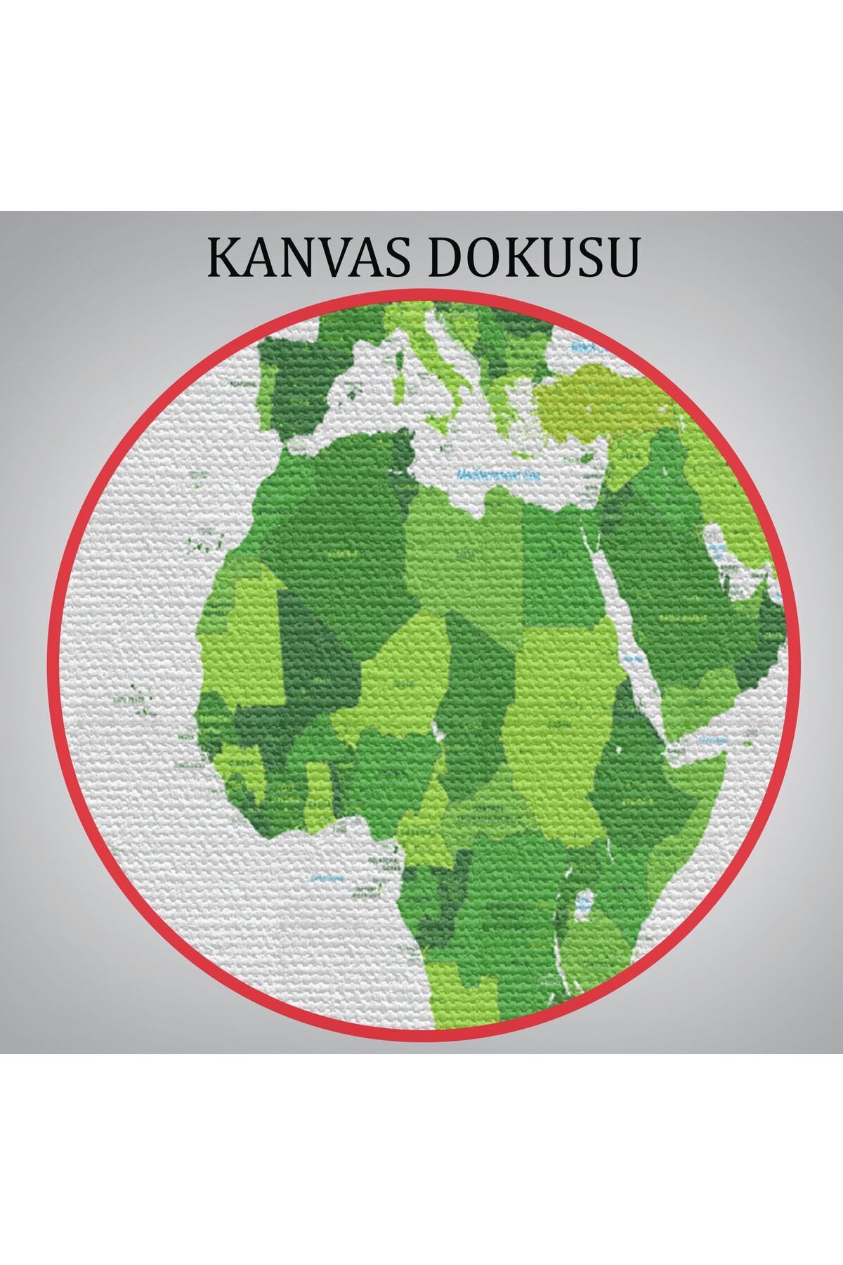 Dünya Haritası Dekoratif Kanvas Tablo-2 görsel 7