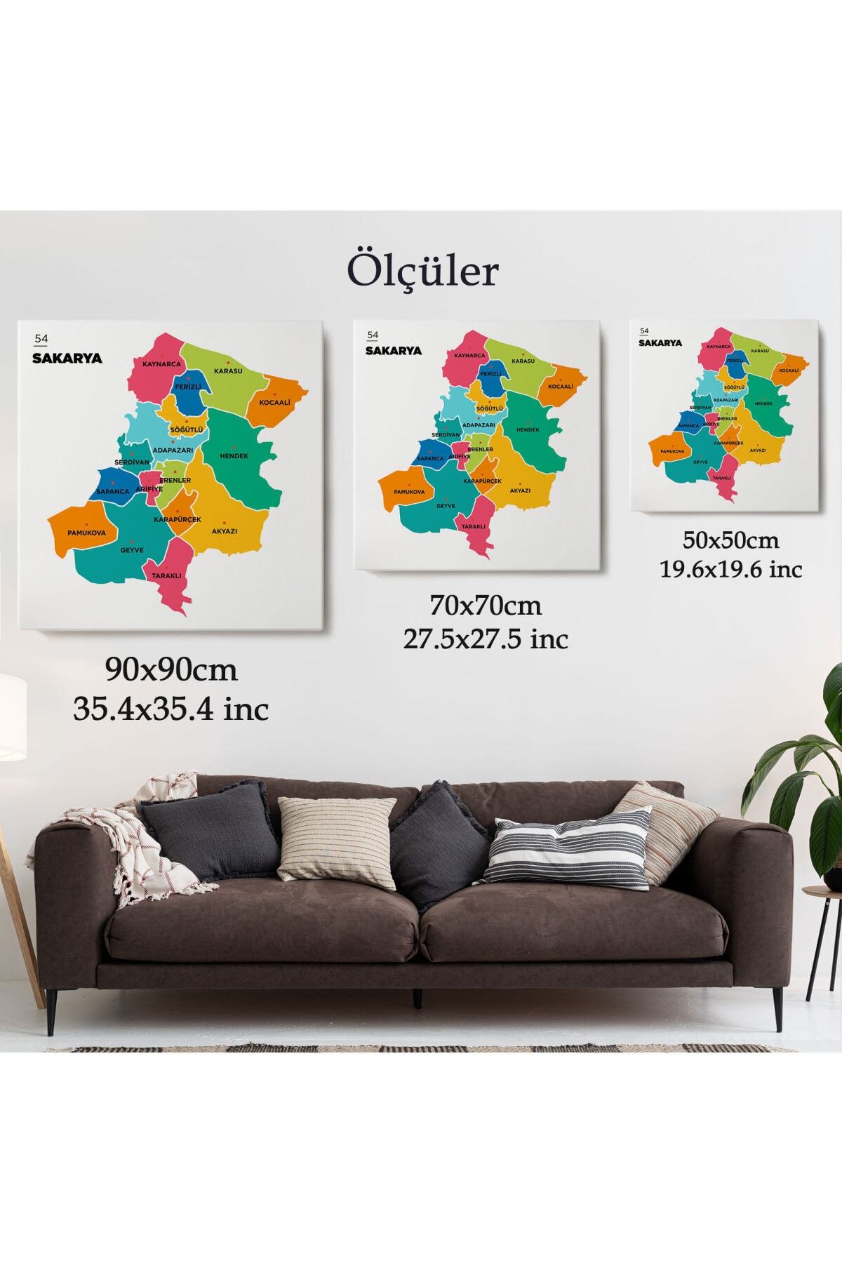 Sakarya Ili Ve Ilçeler Haritası Dekoratif Kanvas Tablo görsel 5