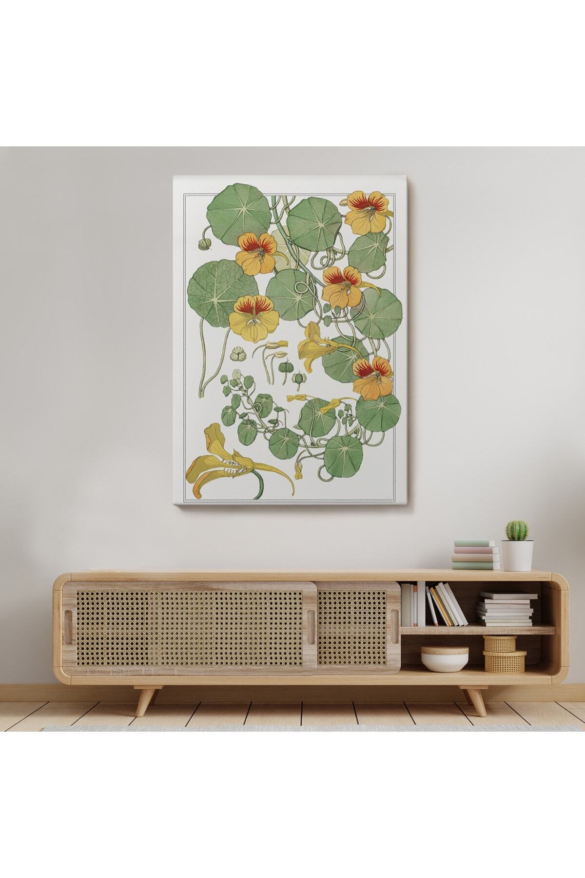 Nasturtium Çiçeği Kanvas Tablo görsel 7