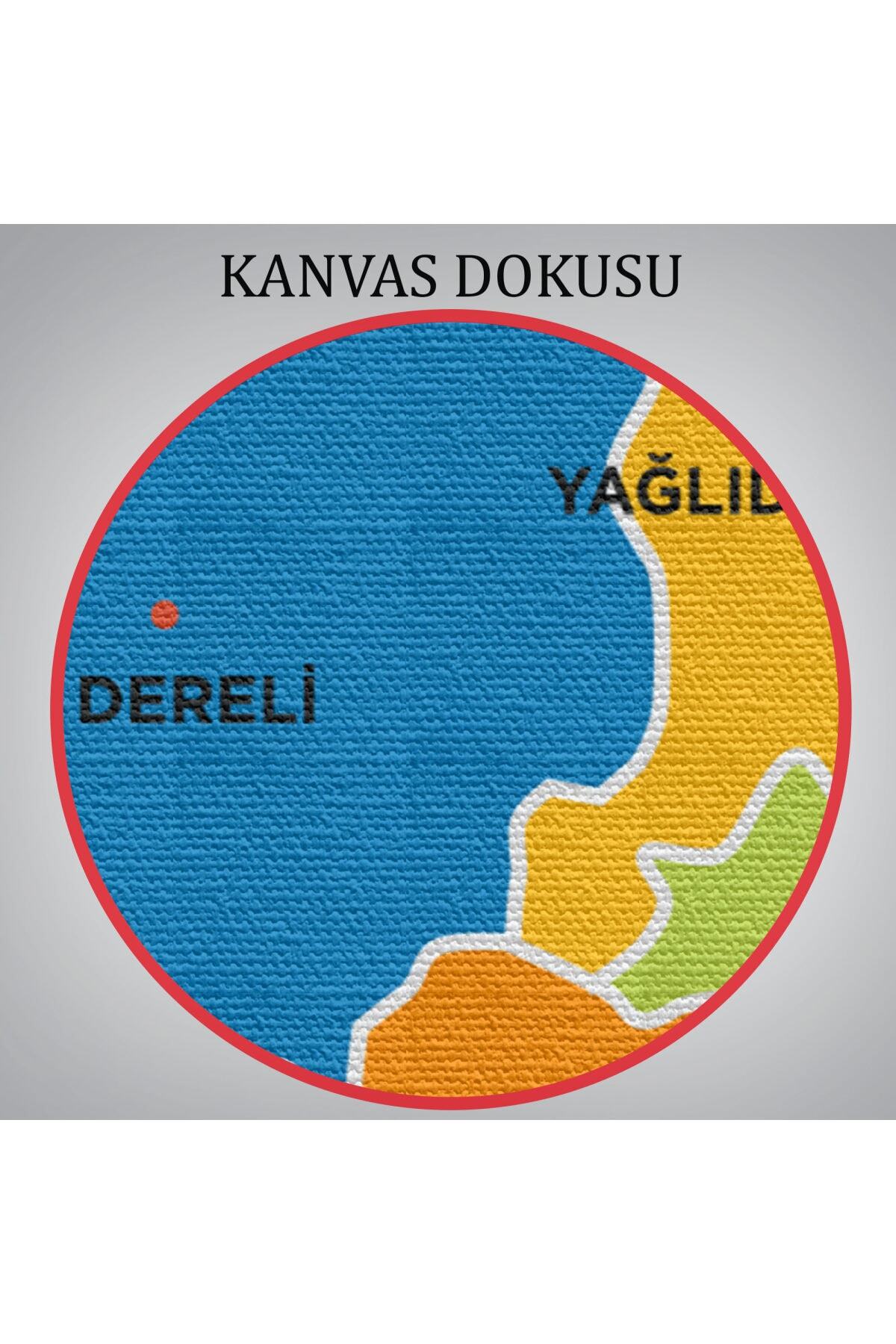 Giresun Ili Ve Ilçeler Haritası Dekoratif Kanvas Tablo görsel 6