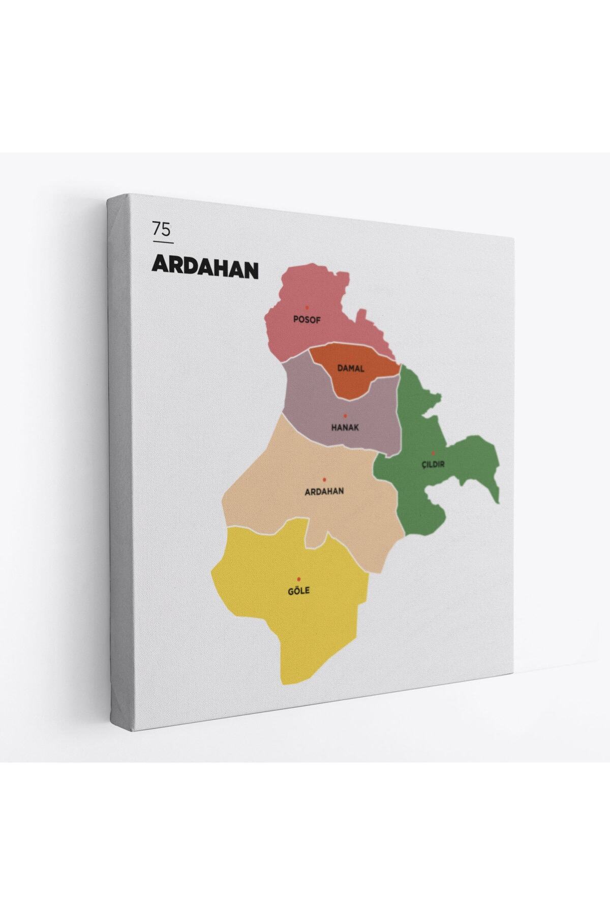 Ardahan Ili Ve Ilçeler Haritası Dekoratif Kanvas Tablo-1